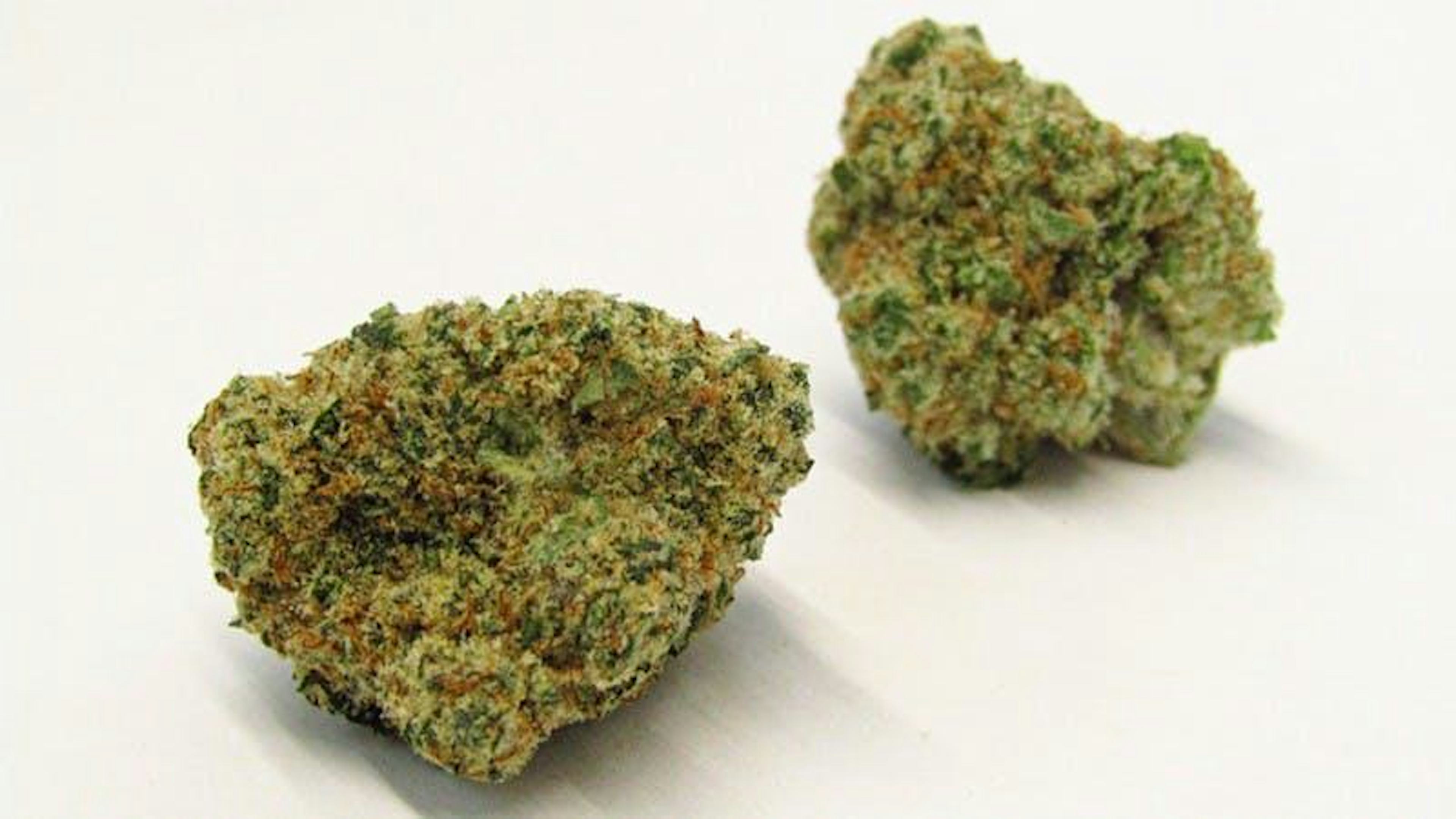 Image of SUPER SILVER HAZE X GELATO | 3.5G