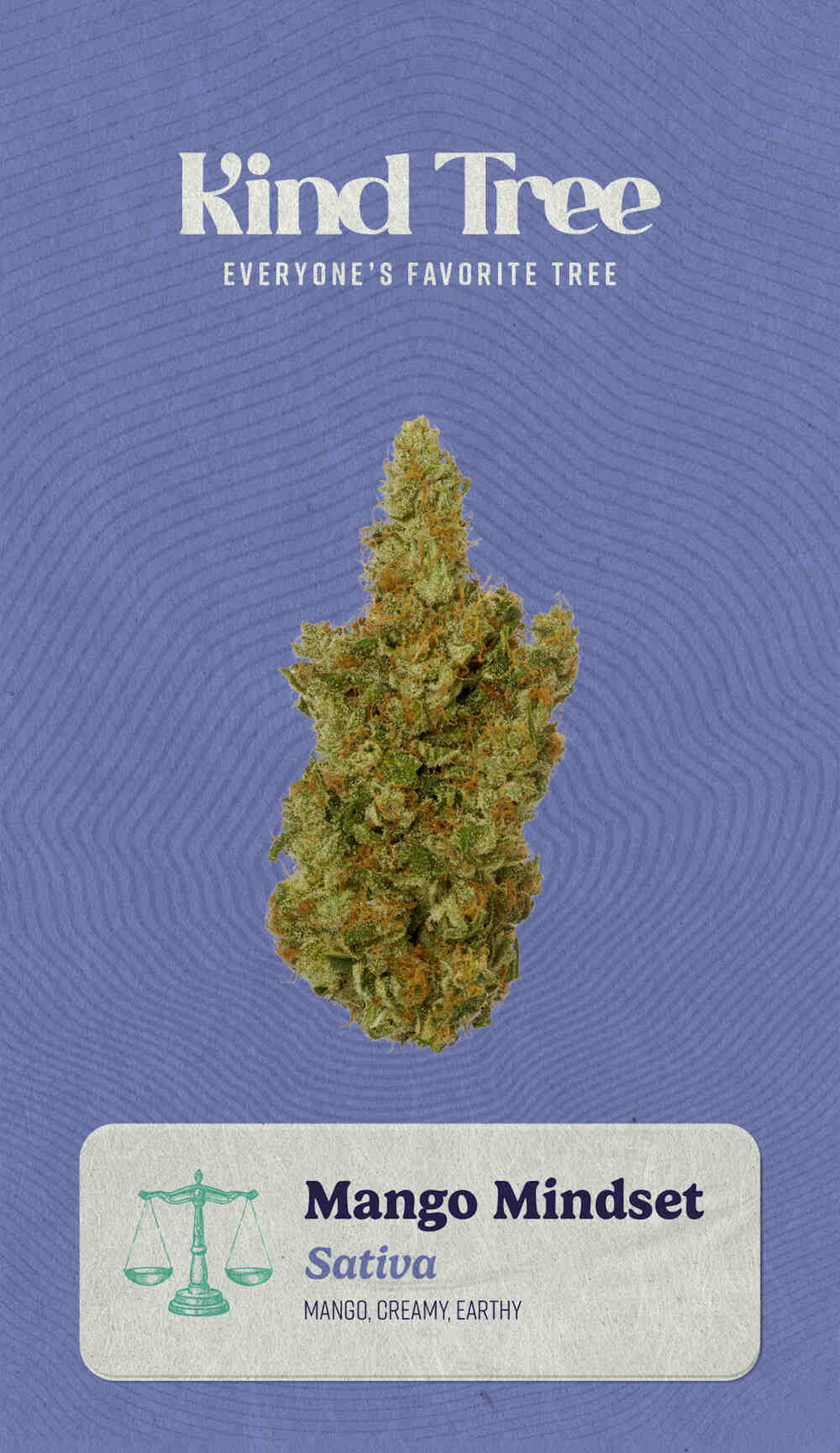 Image of MANGO MINDSET | 3.5G