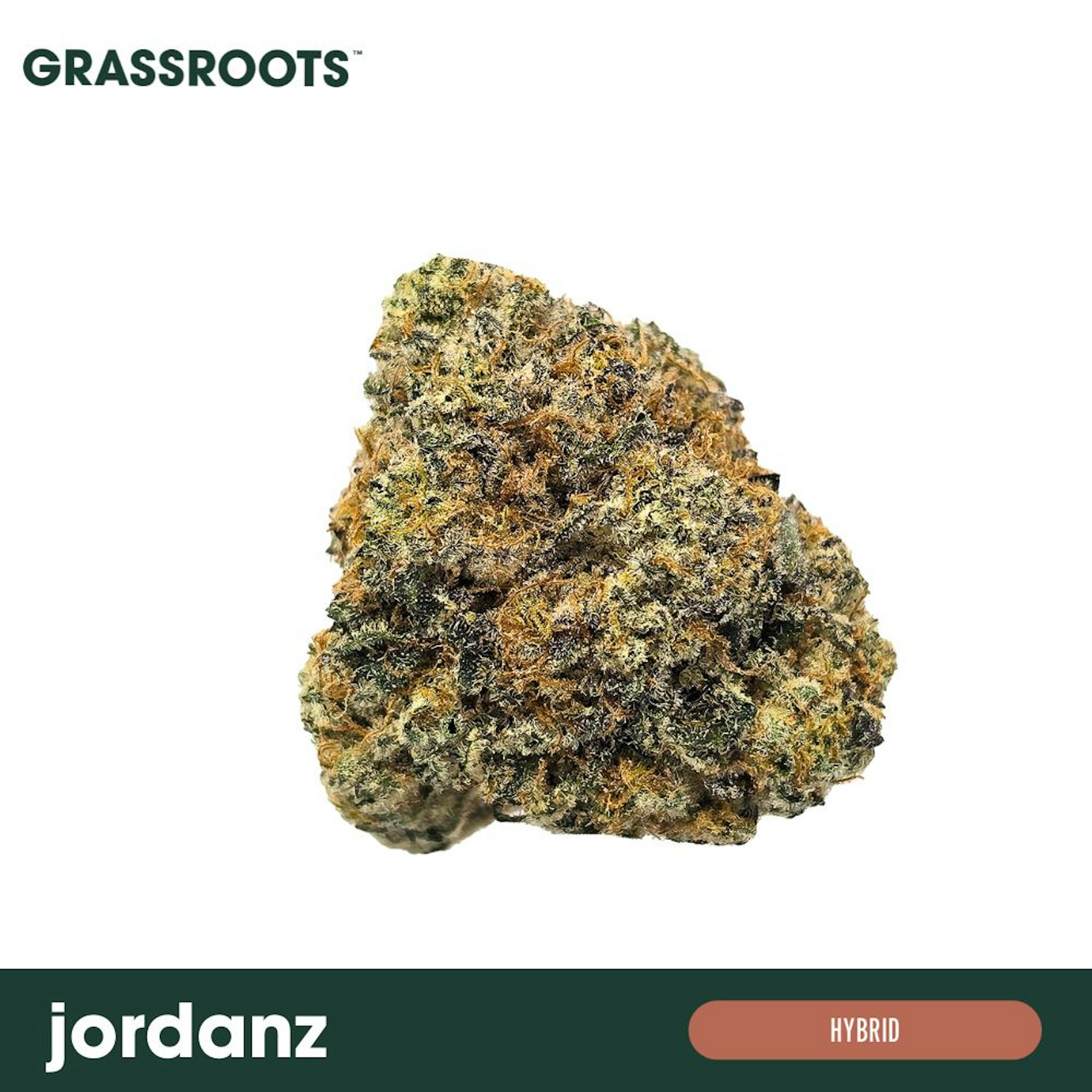 Image of JORDANZ | 3.5G