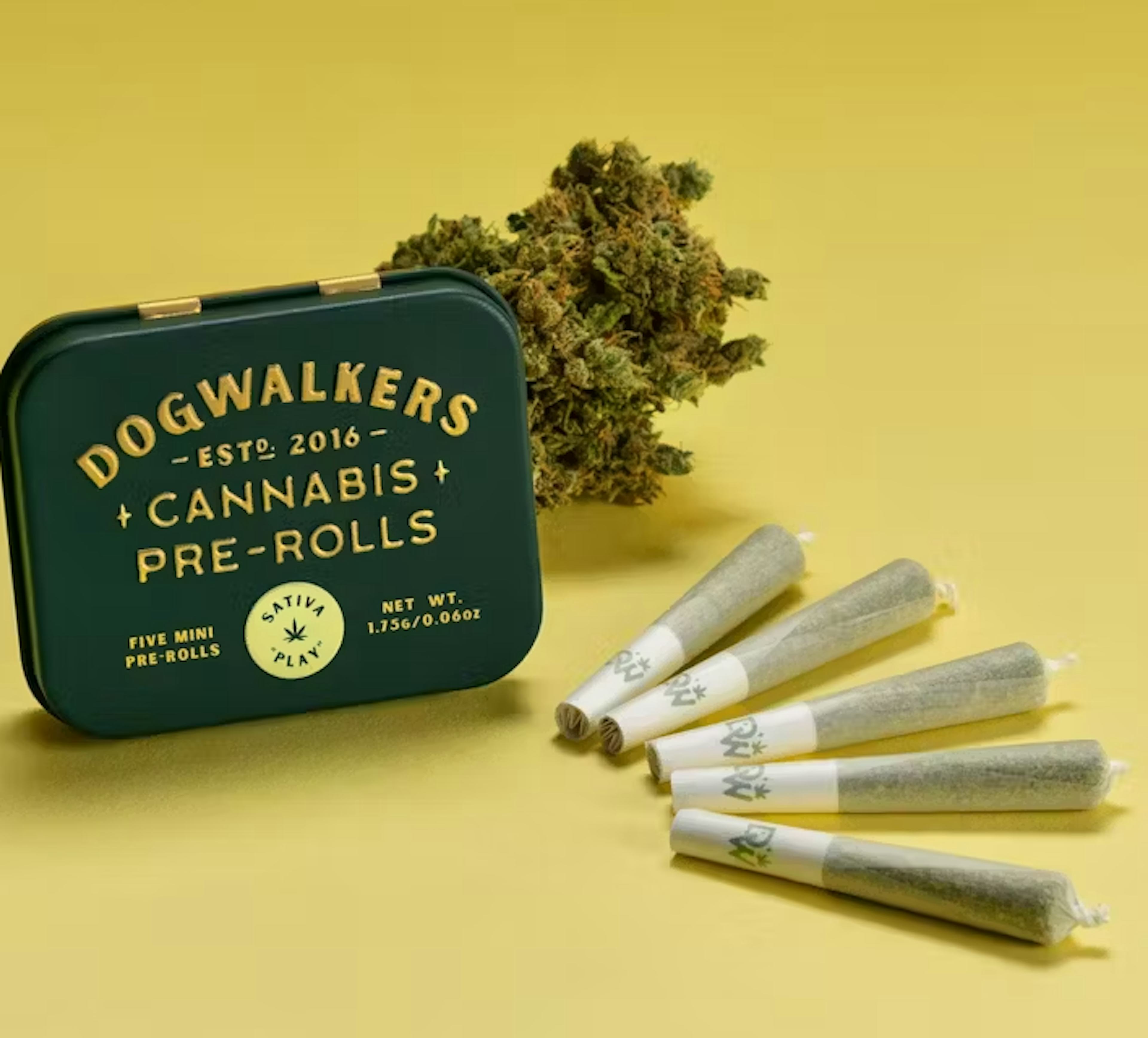 Image of TANGERINE HAZE | 5-PACK | 1.75G