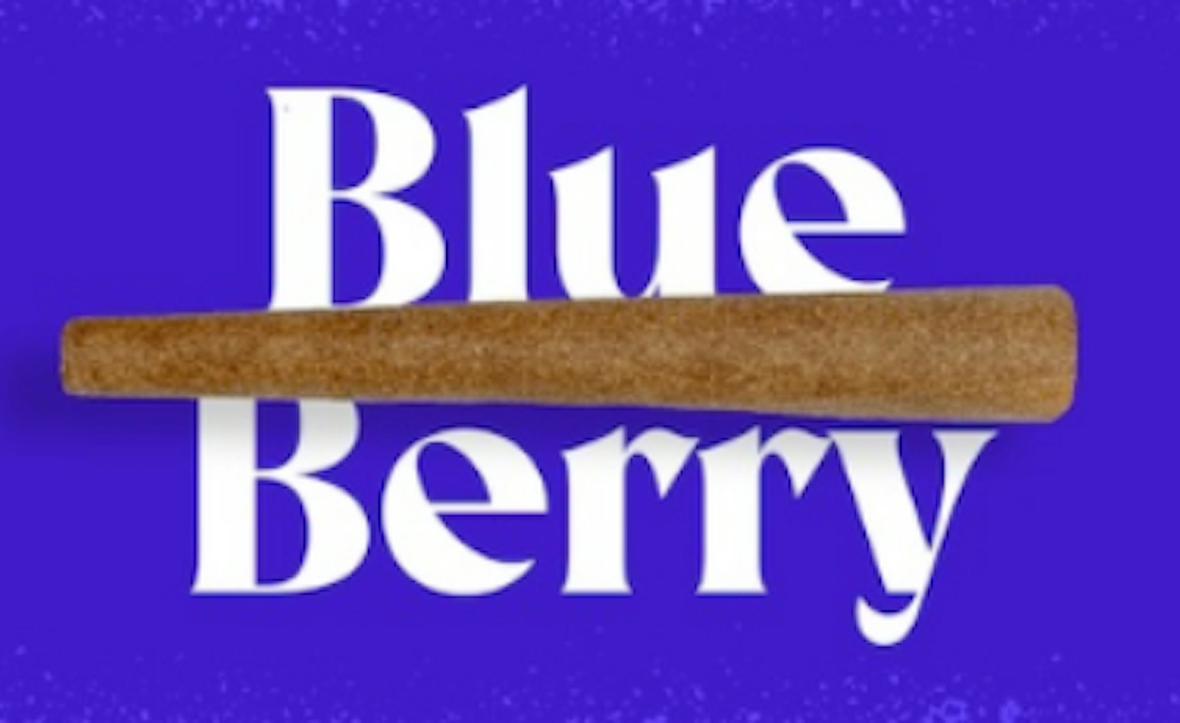 Image of BLUEBERRY | INFUSED BLUNT