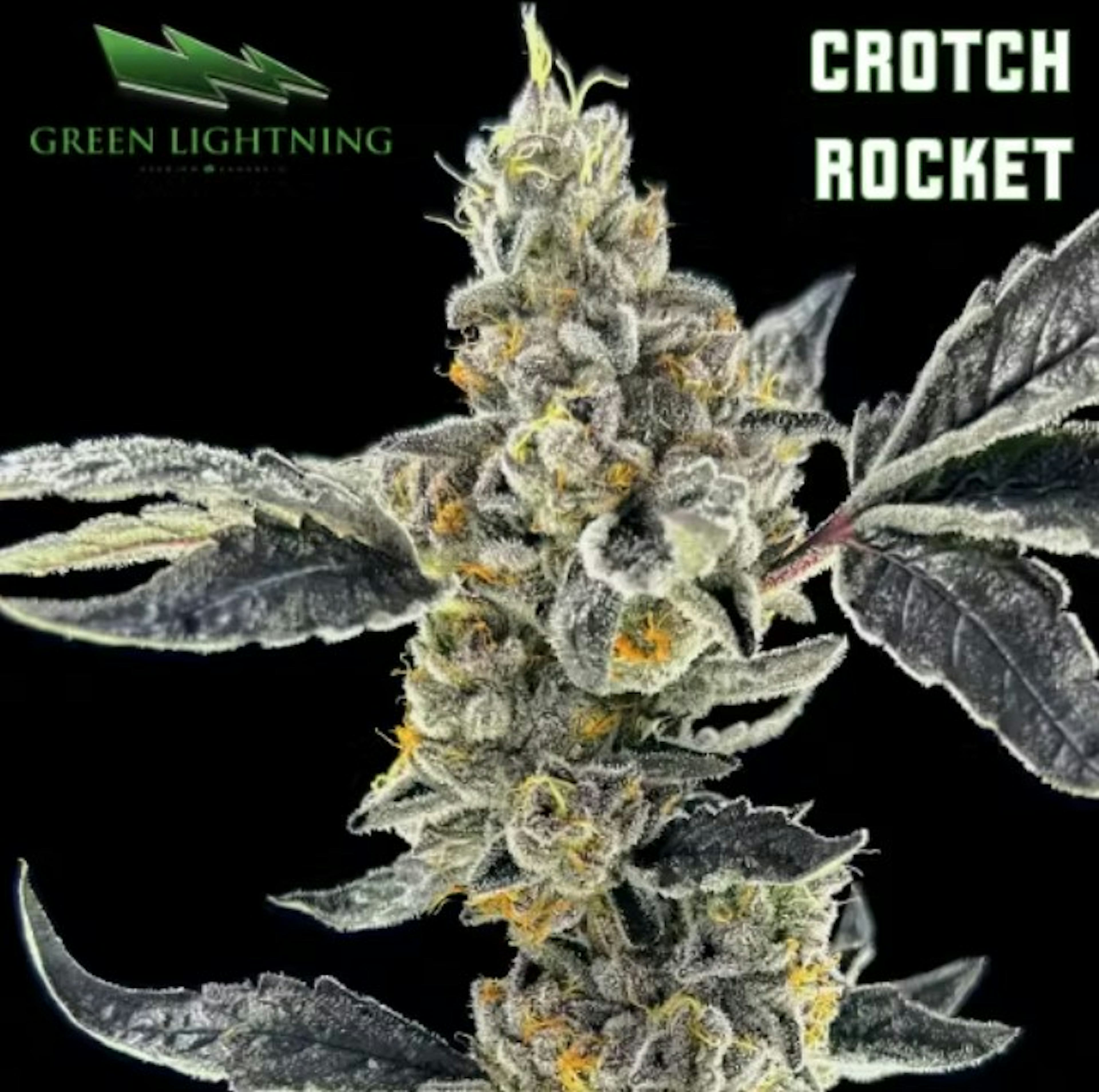 Image of CROTCH ROCKET | MIXED BUDS | 28G