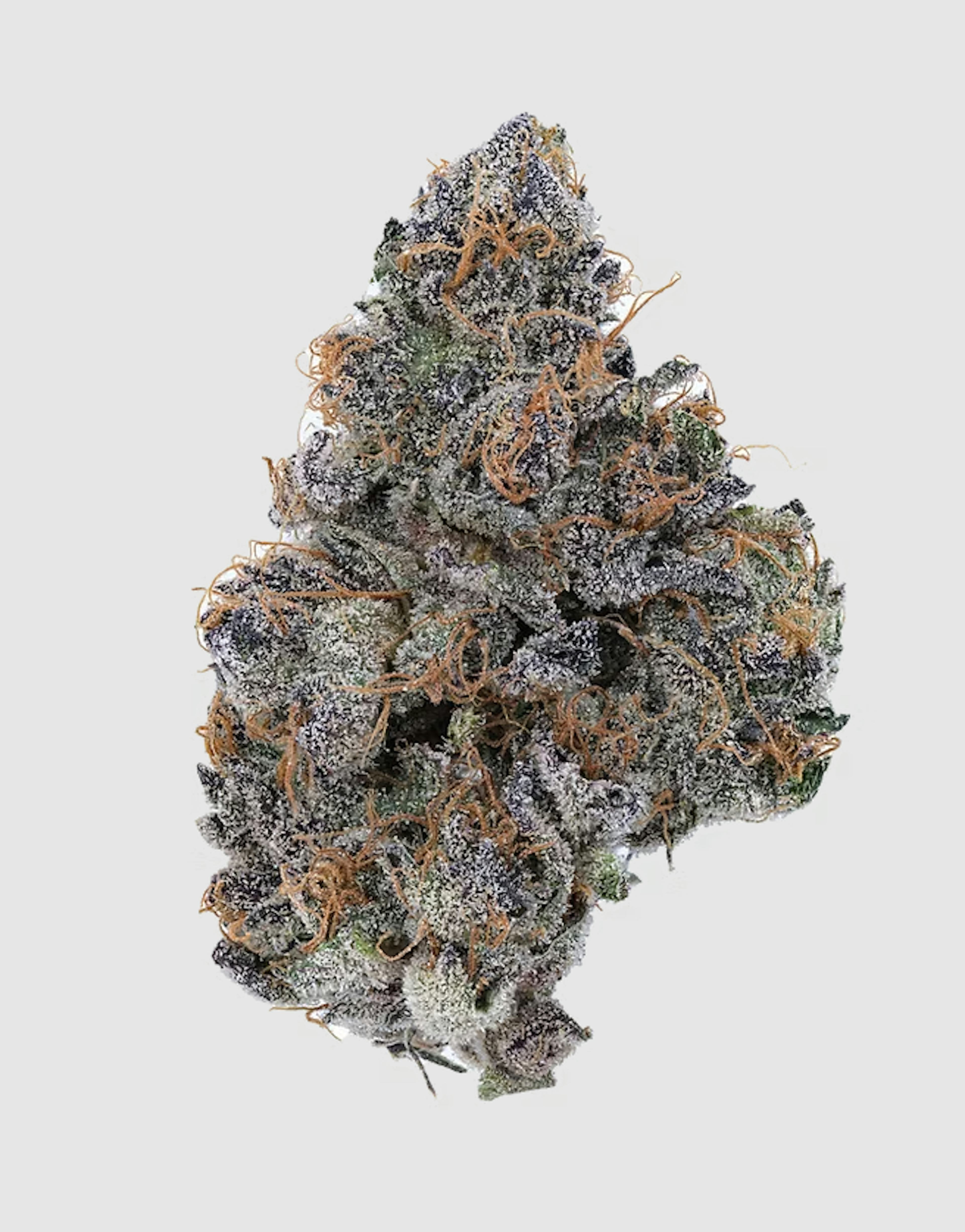 Image of SHERB CAKE | 7G