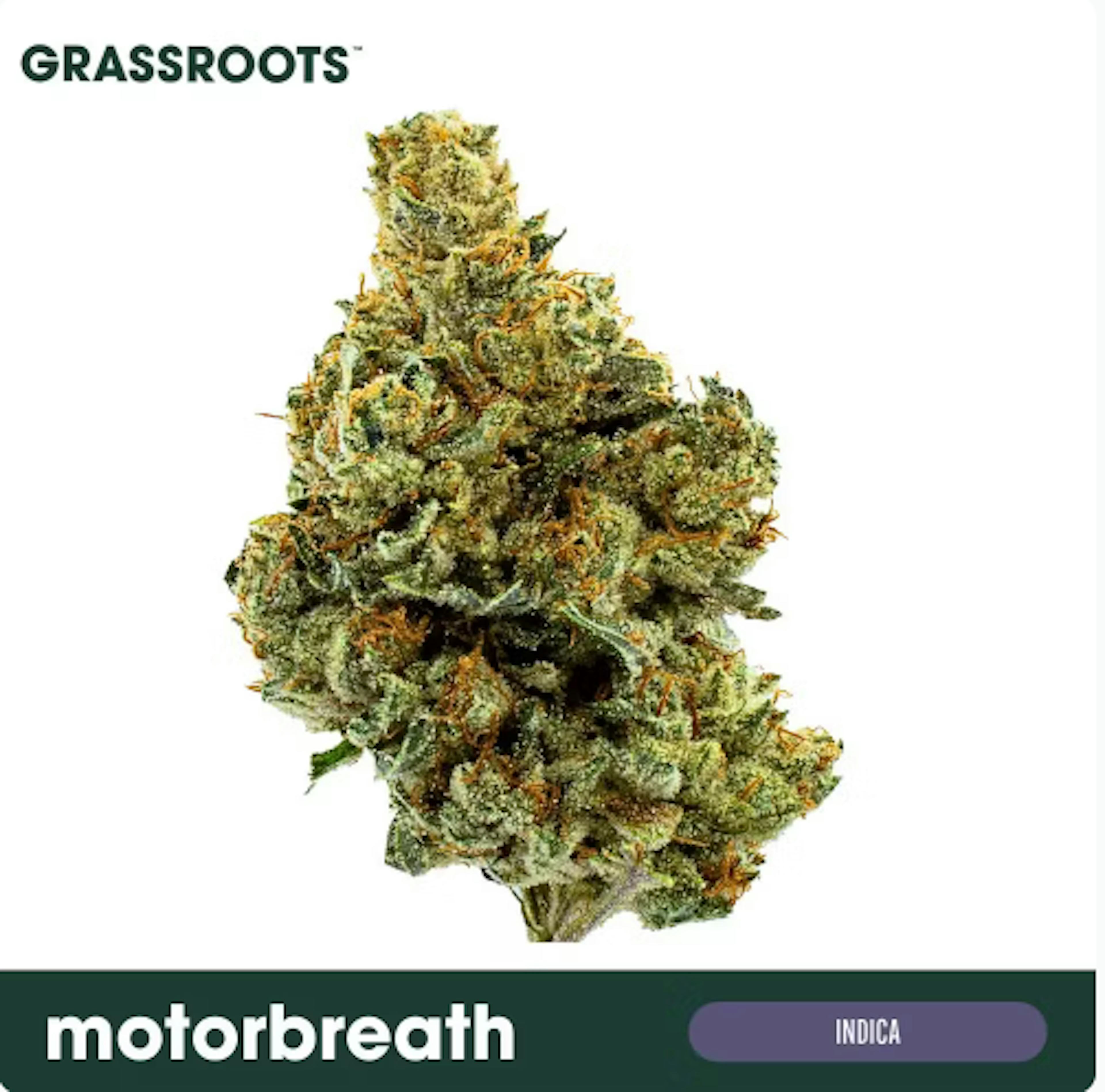Image of MOTORBREATH #15 | 7 GRAMS | SMALLS