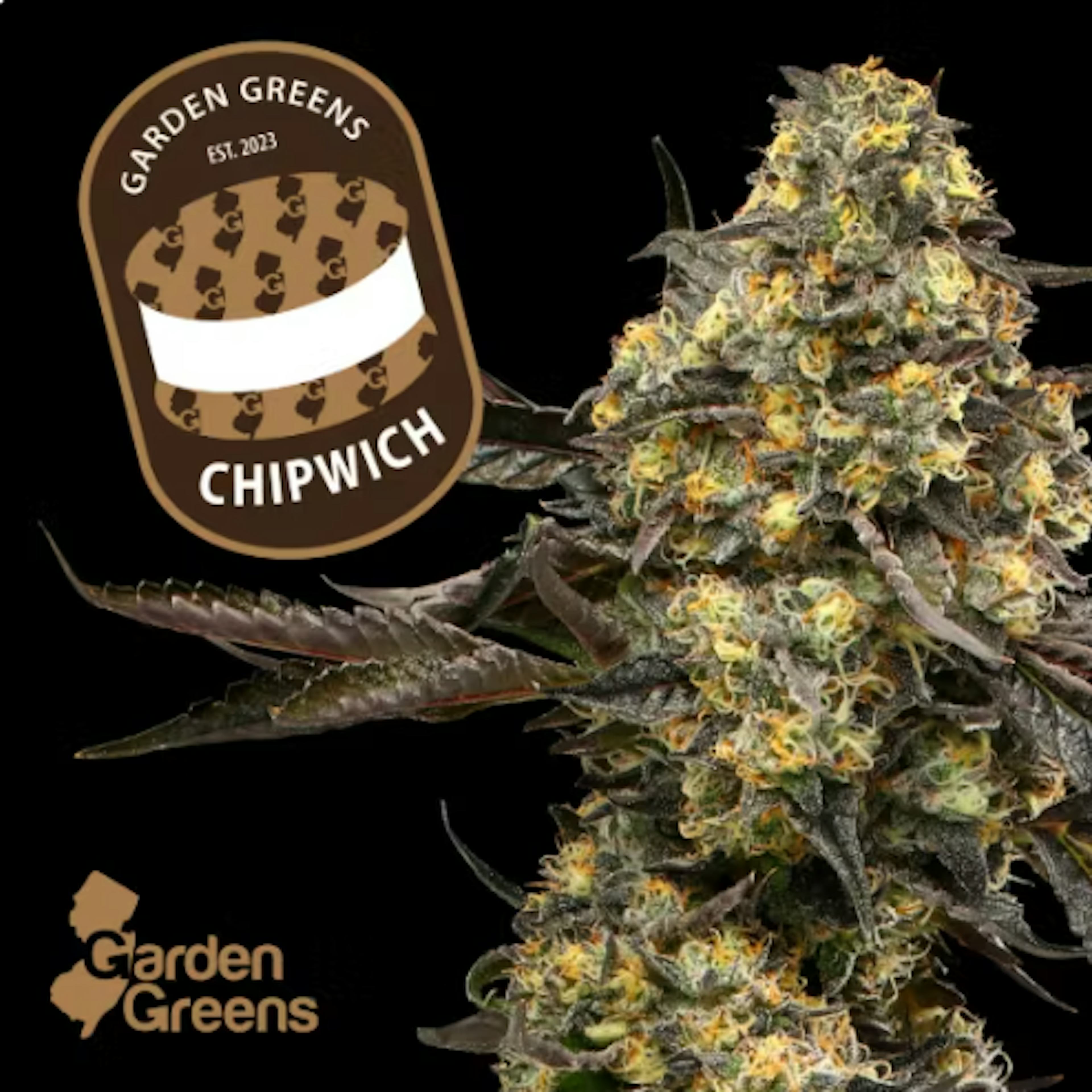 Image of CHIPWICH | 3.5G