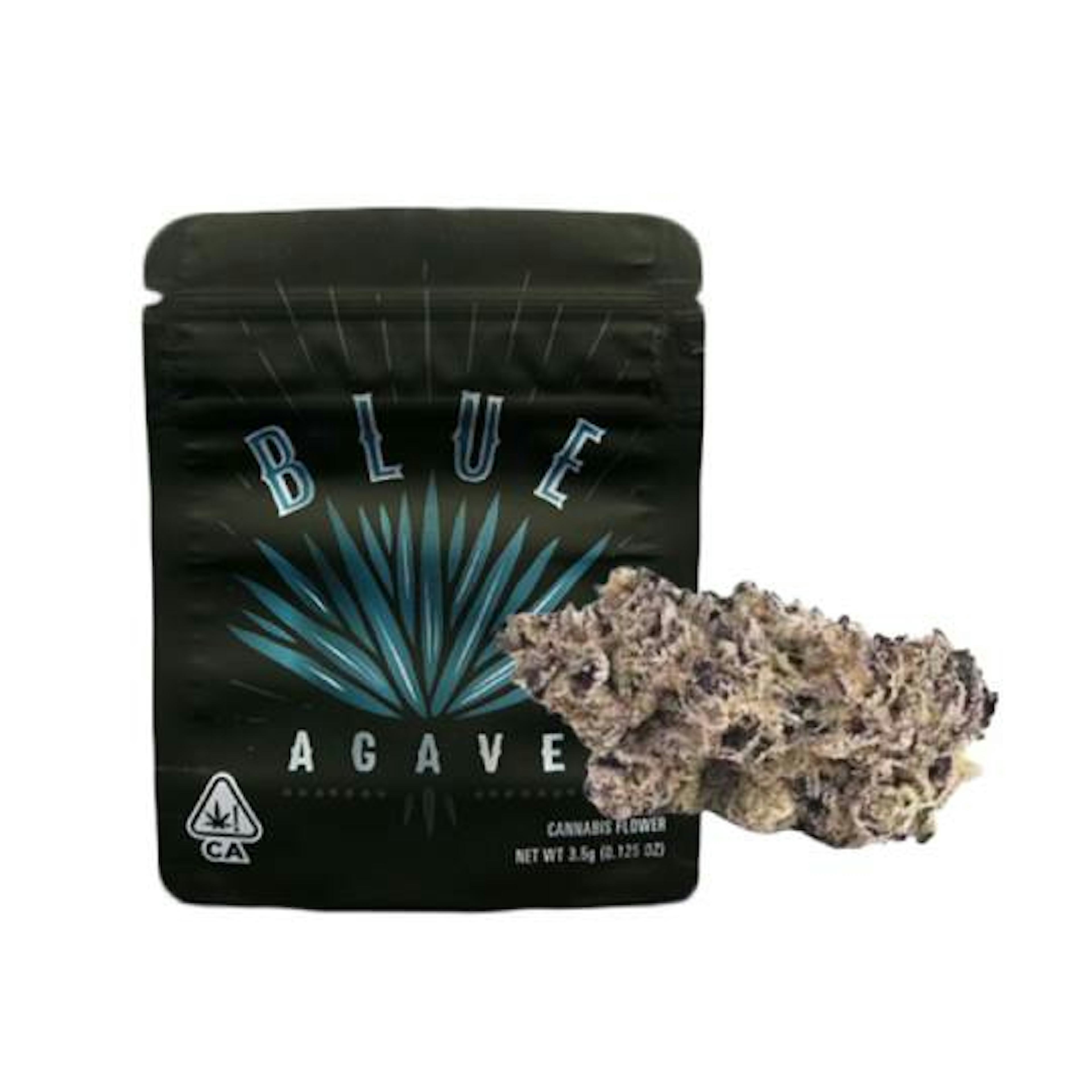 Image of BLUE AGAVE | 7G