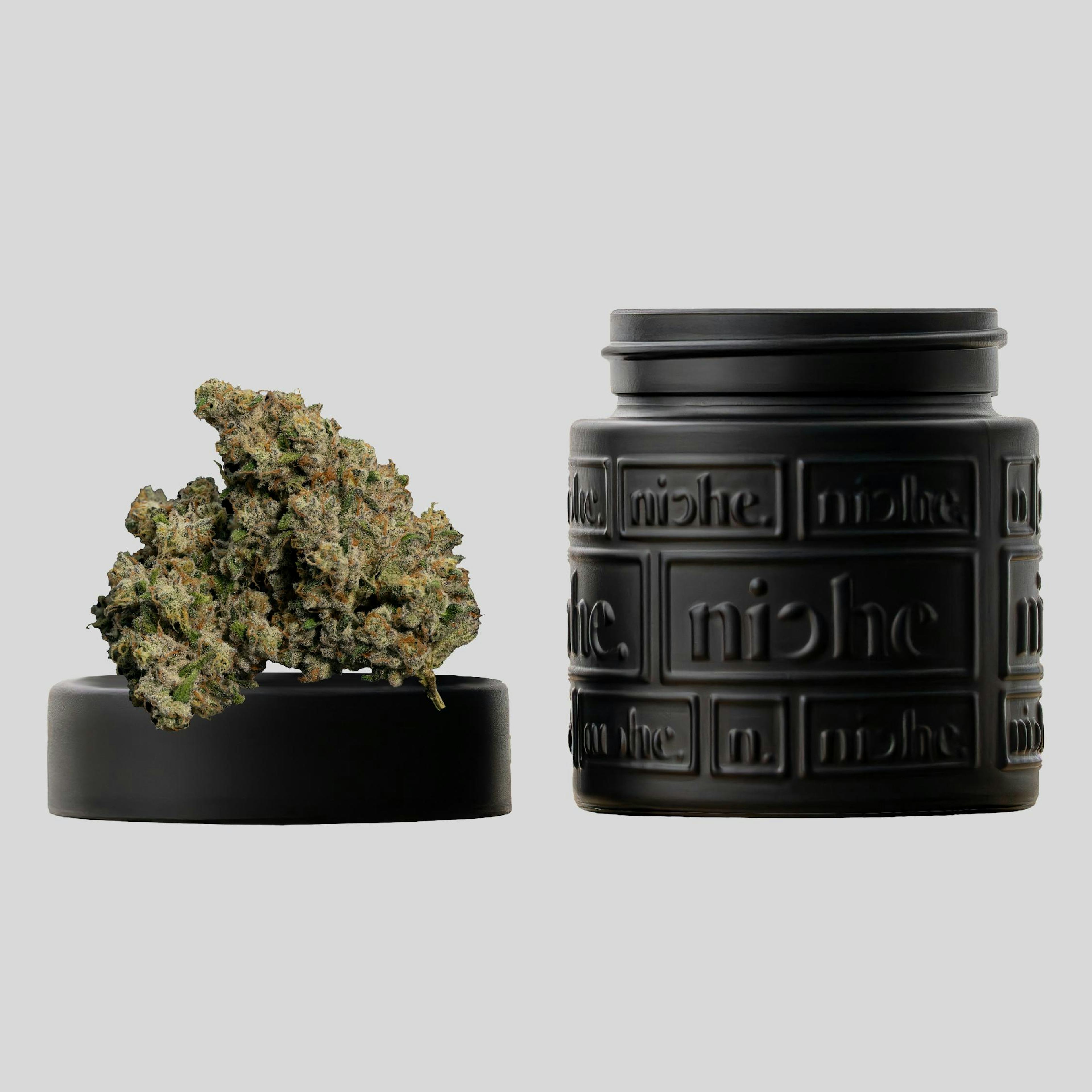 Image of TYKOON | 3.5G