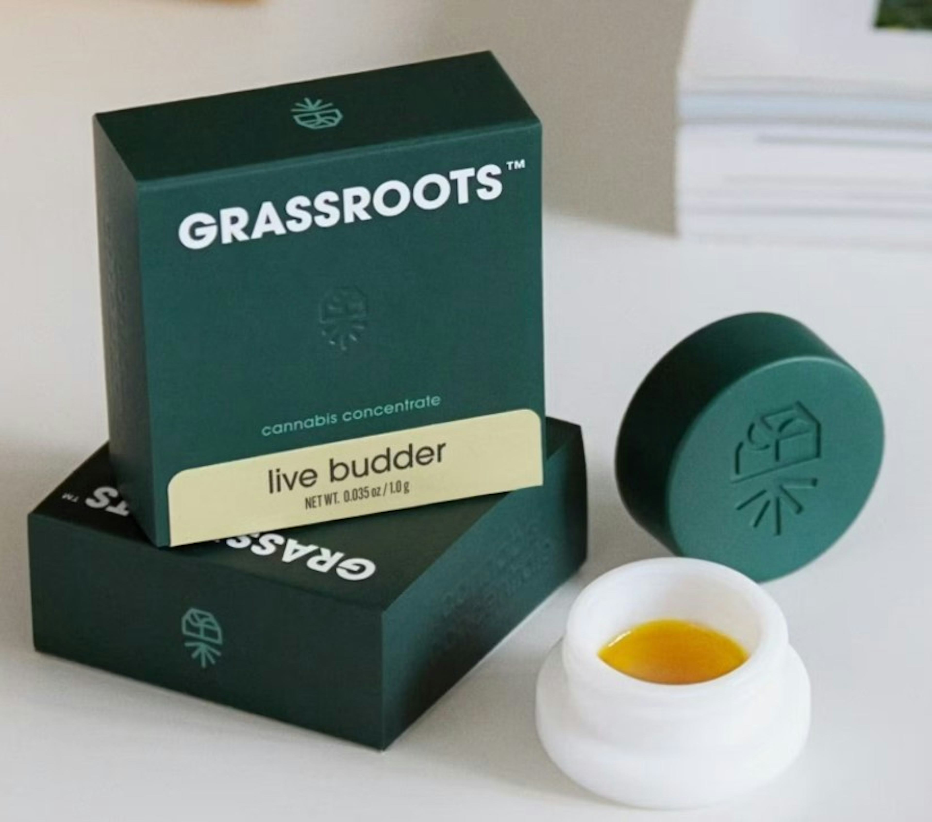 Image of GARLIC COOKIES STRAIN | LIVE BUDDER 1G