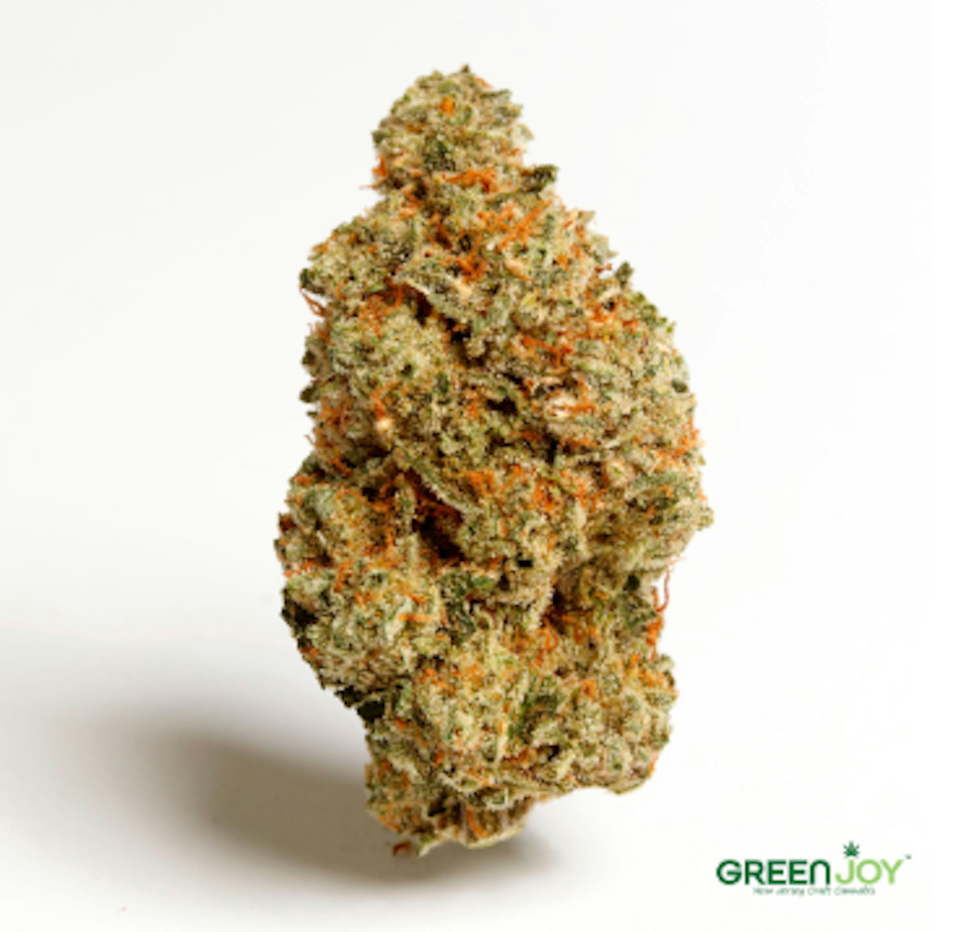 Image of POPSCOTTIE | 3.5G