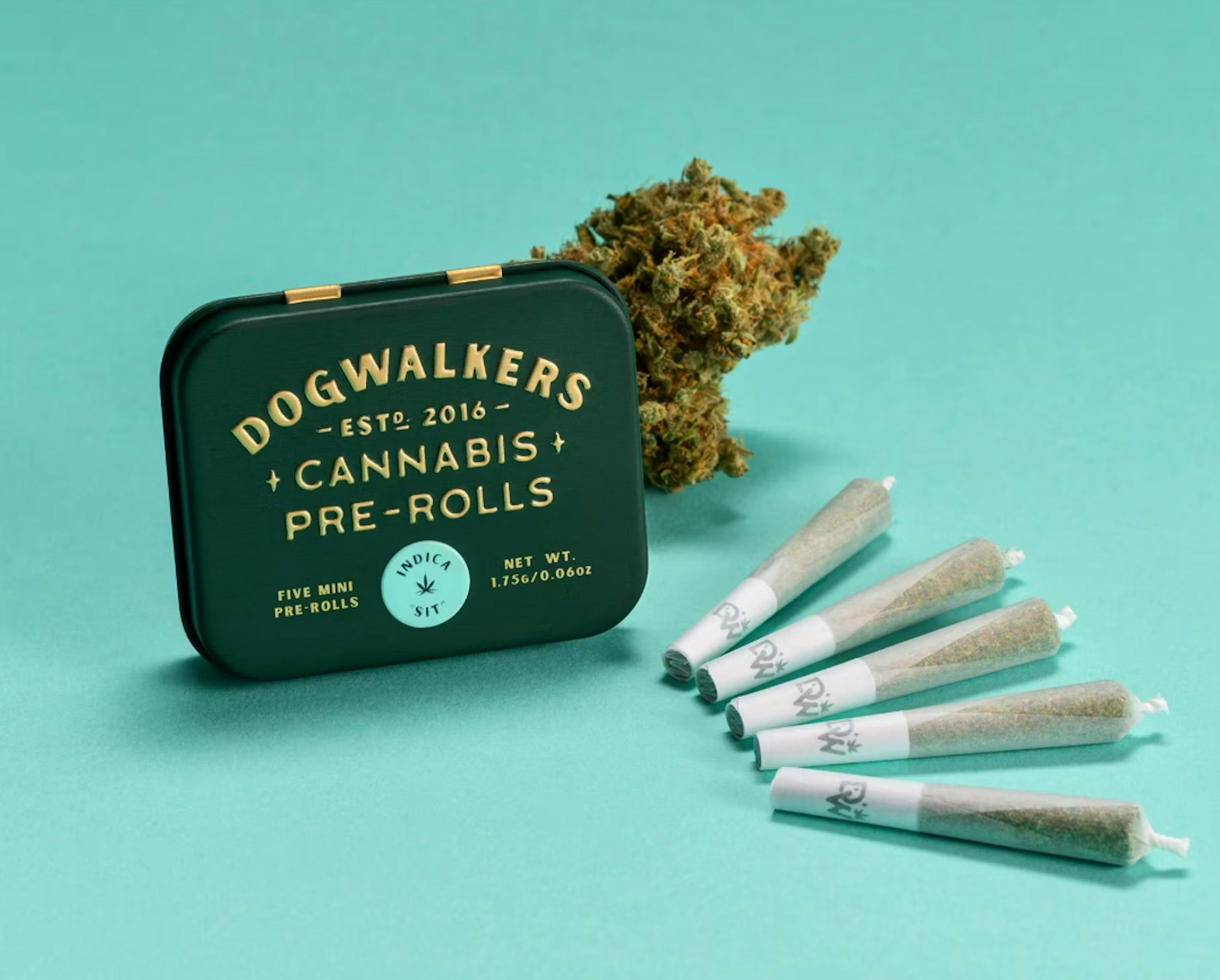 Image of CHEM SCOUT '87 | 1.75G | 5PK