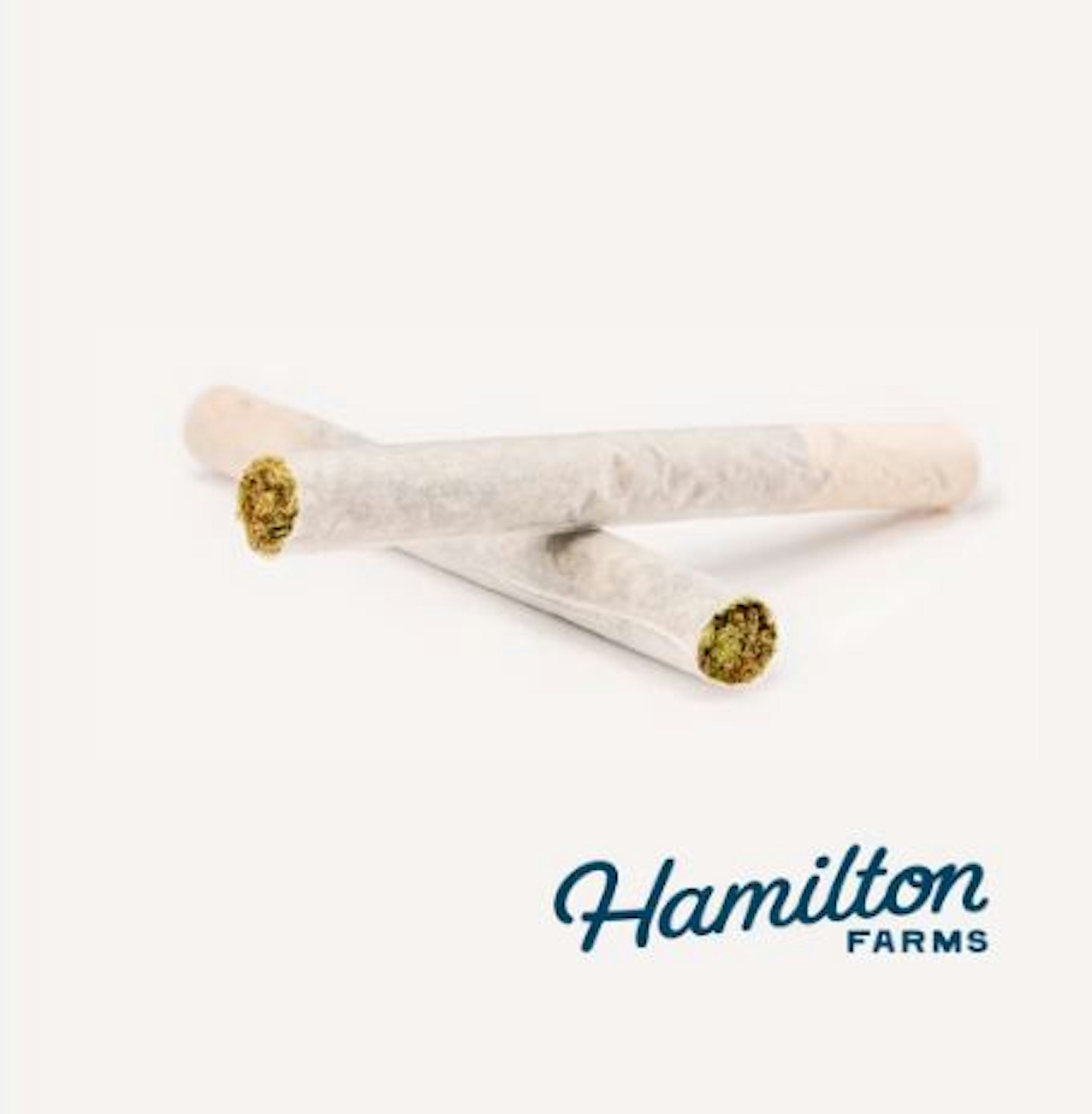 Image of CAKE BAKE | 1G | 2PK