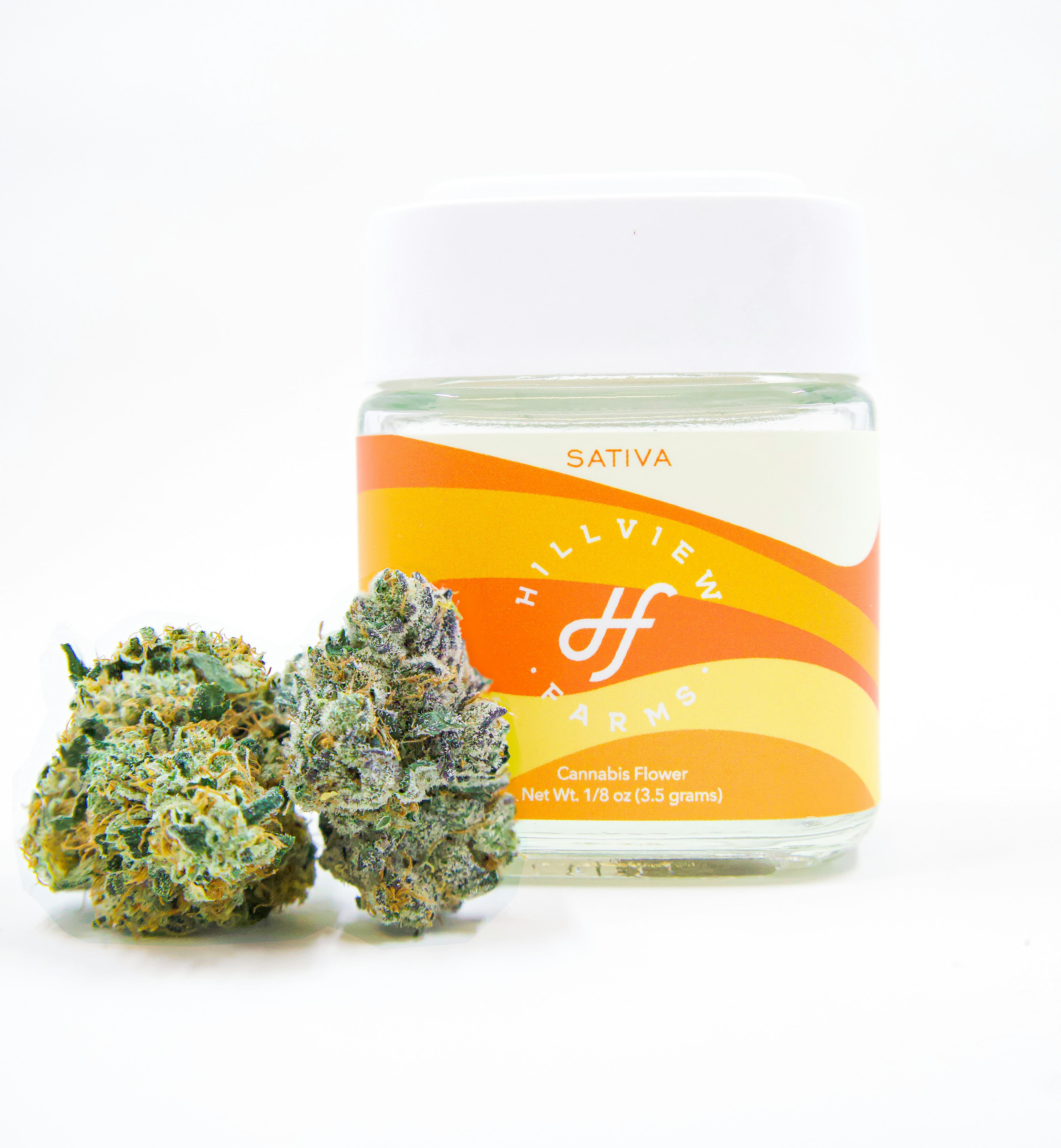 Image of HEADBAND | 3.5G