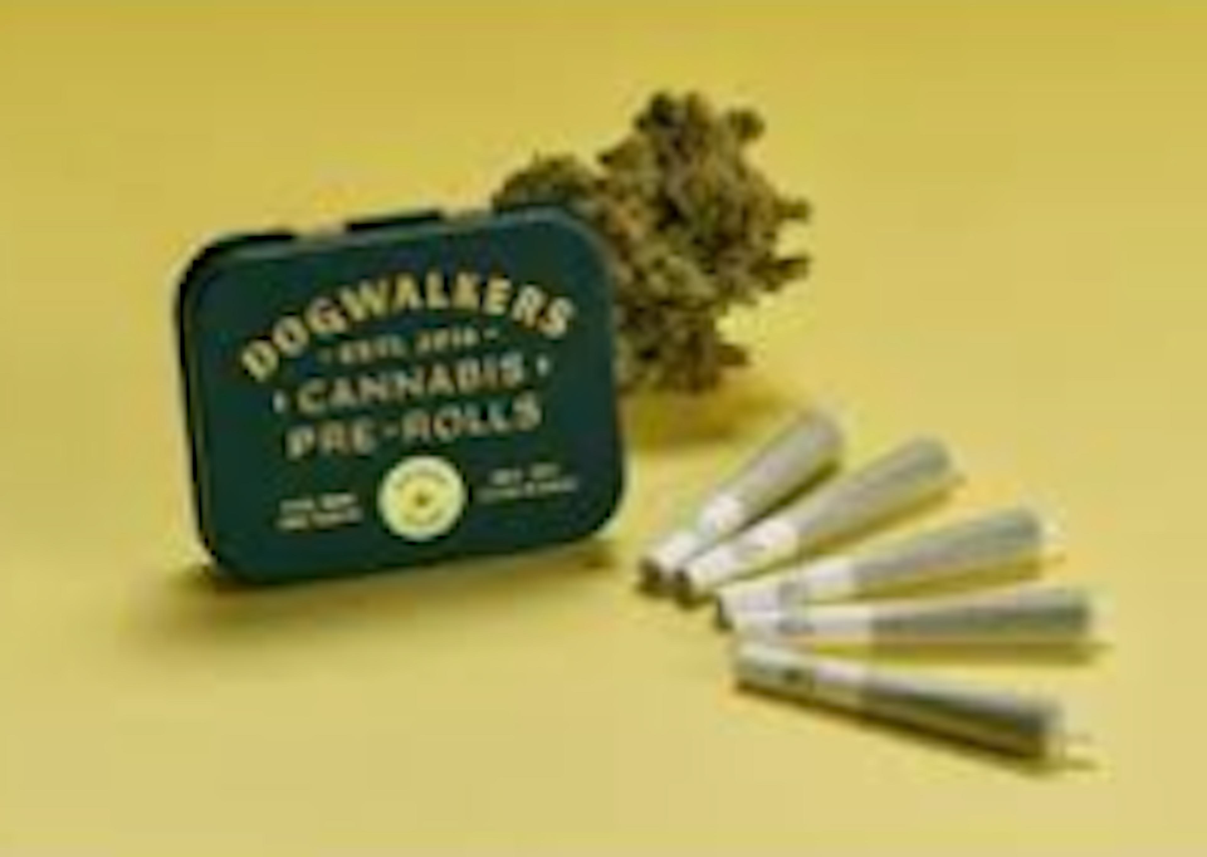 Image of L' ORANGE | 5PK | 1.75G