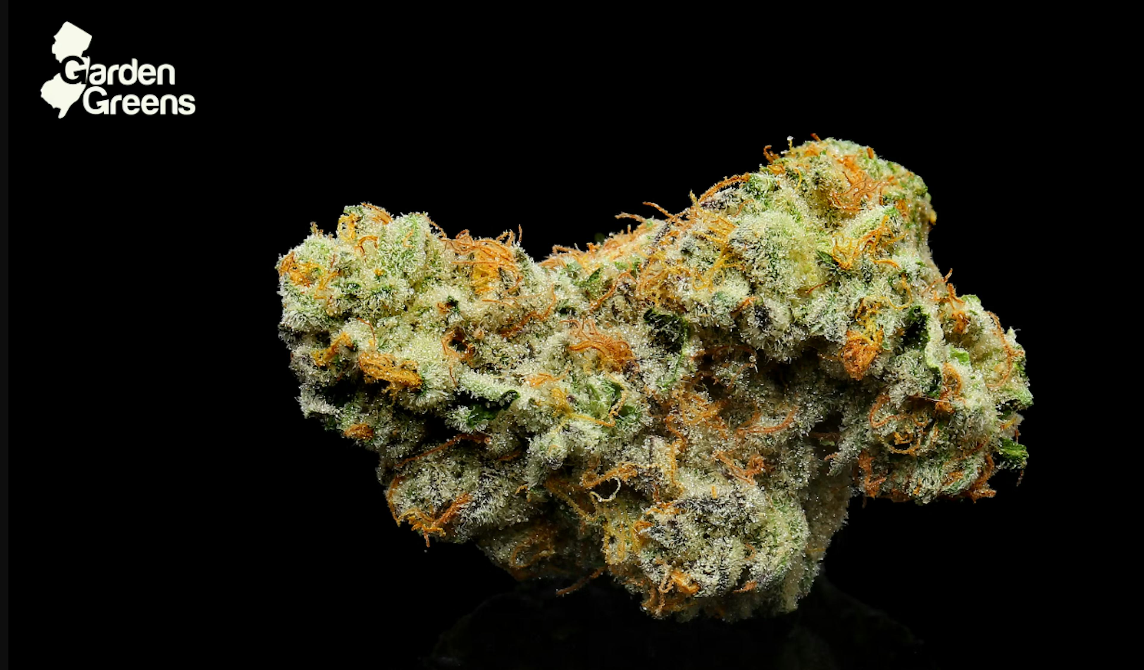 Image of KAMIKAZE | 3.5G