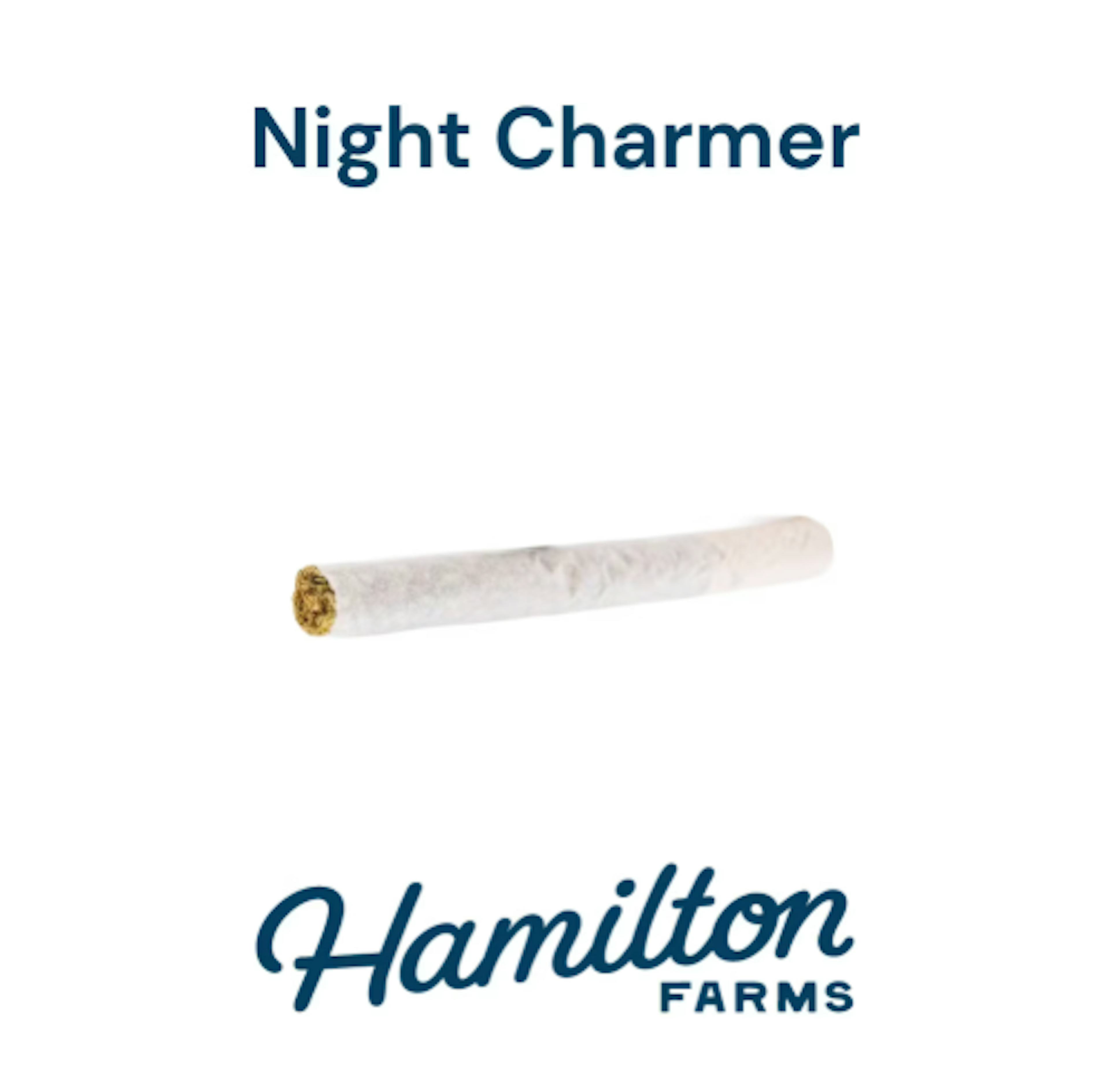 Image of NIGHT CHARMER | 0.5G | 5PK