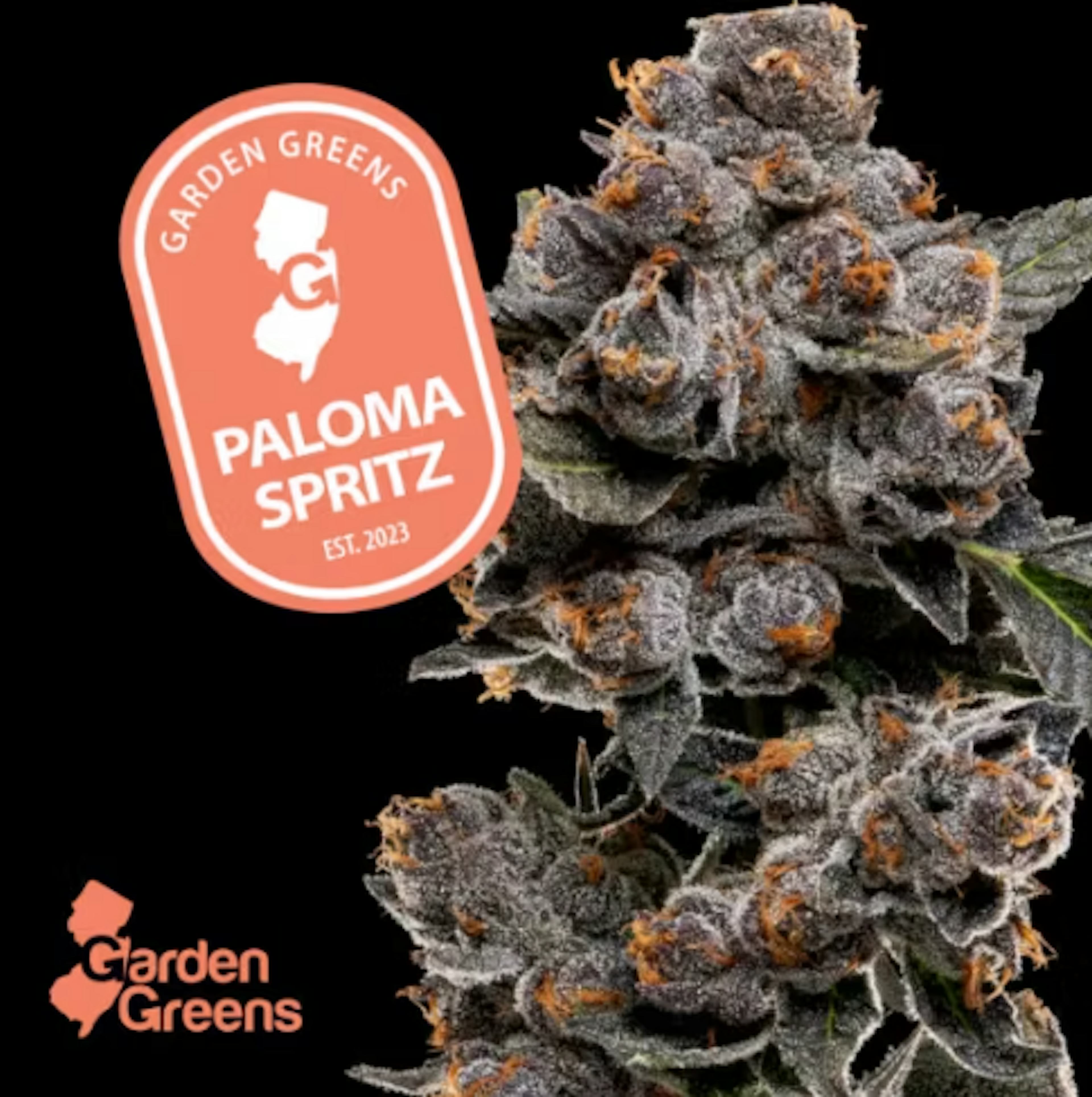 Image of PALOMA SPRITZ | 14G | MIXED NUGS