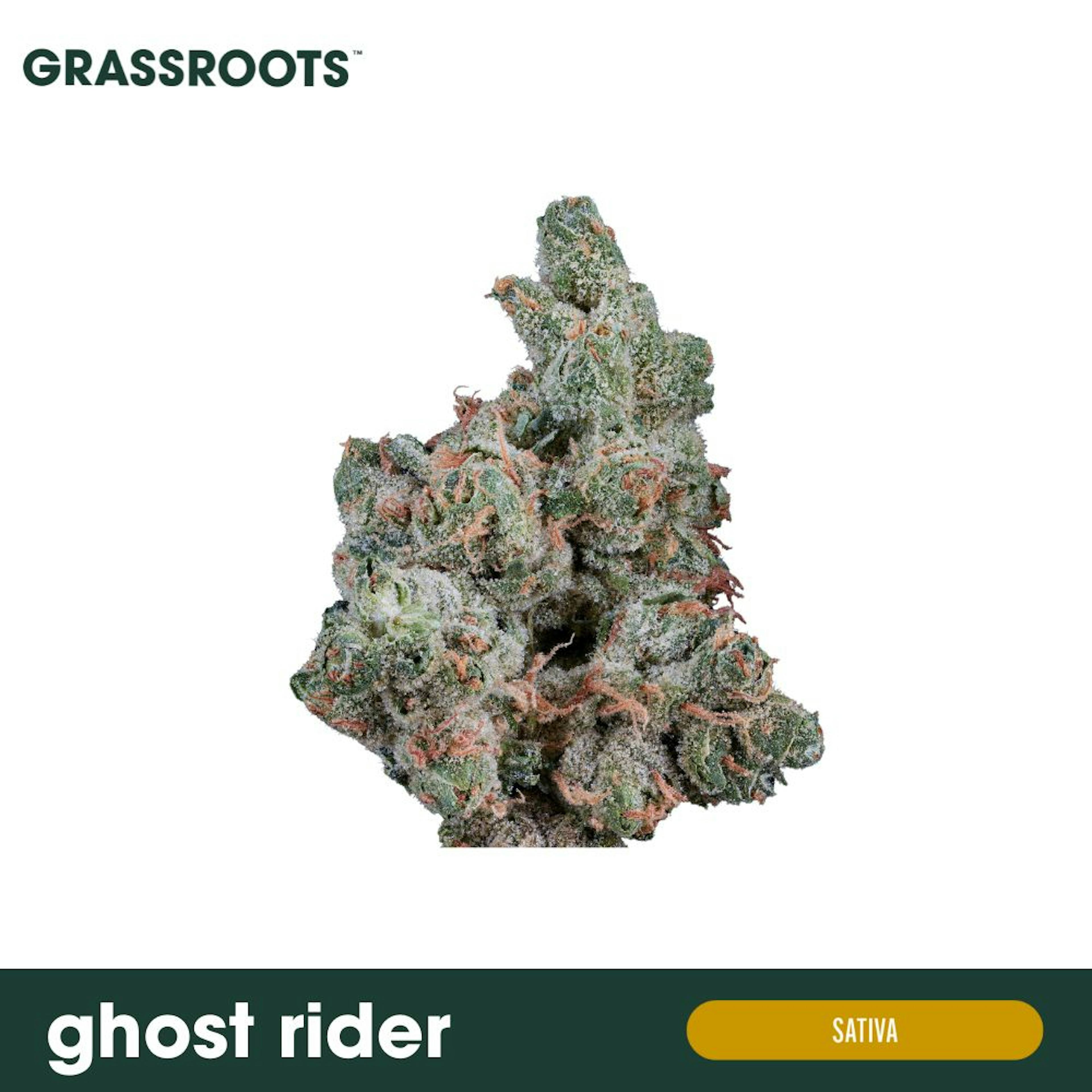 Image of GHOST RIDER | 3.5G