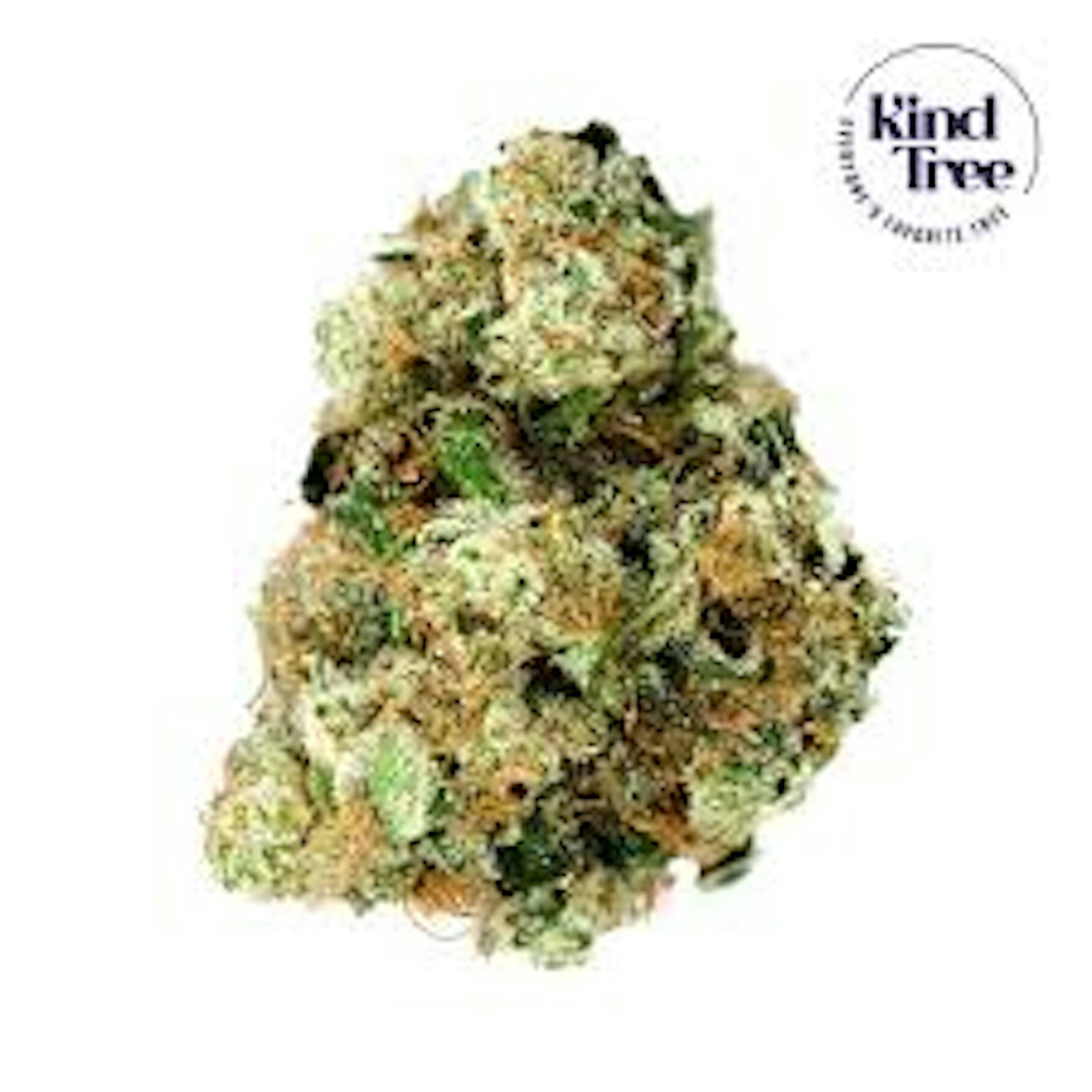 Image of PINEAPPLE PUNK | 3.G | POPCORN