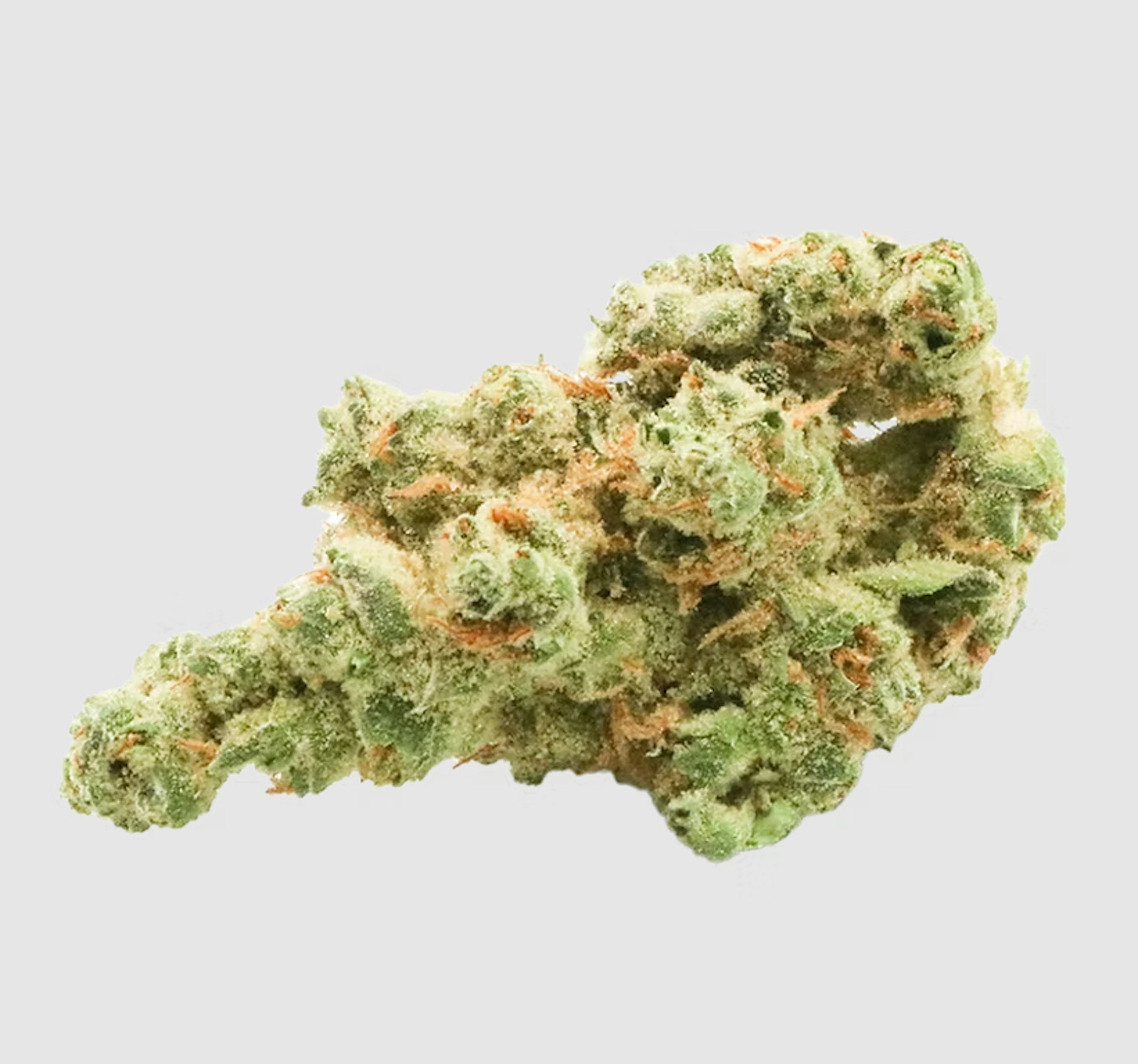 Image of BLUEBERRY MUFFIN | 7G