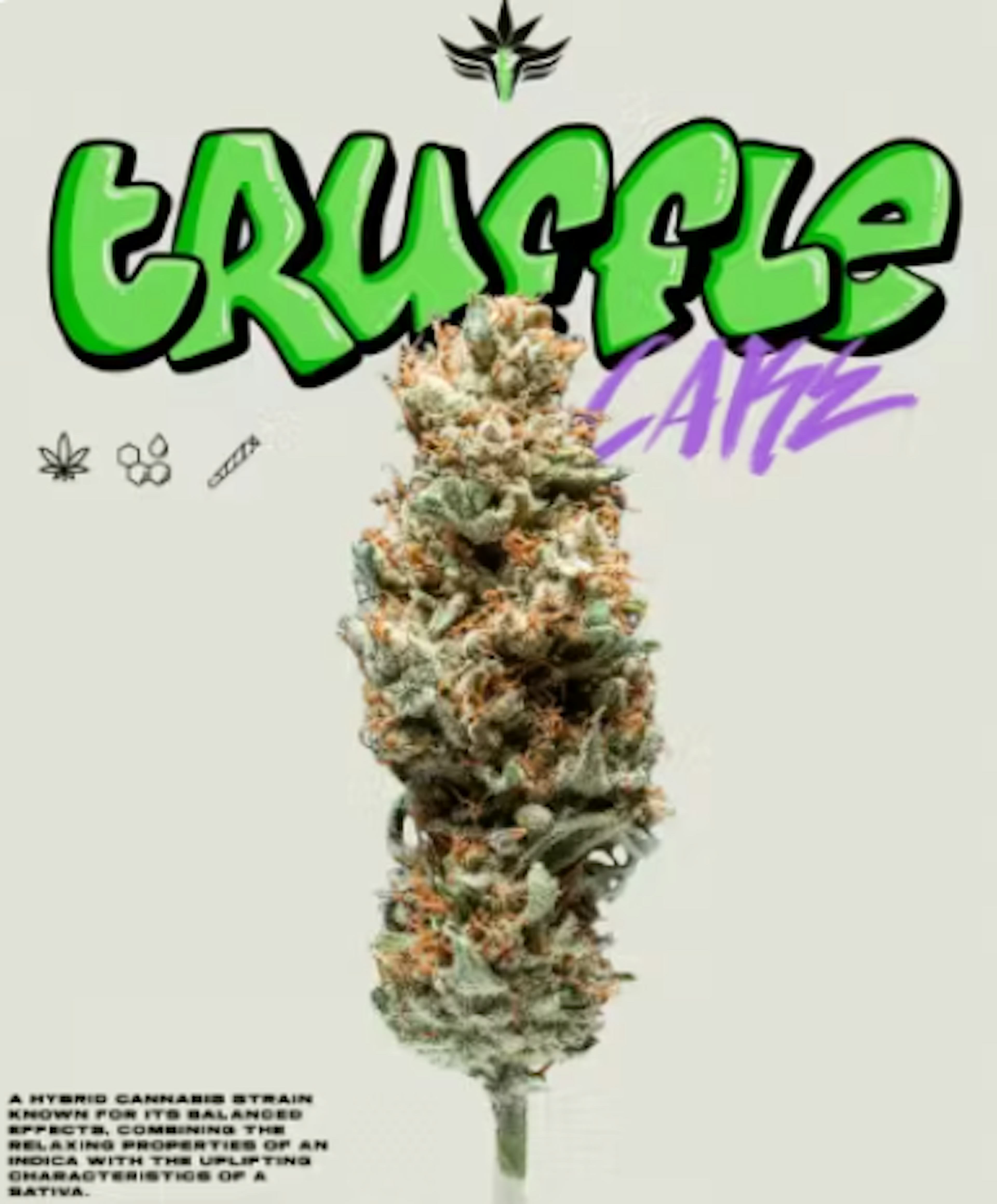 Image of TRUFFLE CAKE | 2 PACK