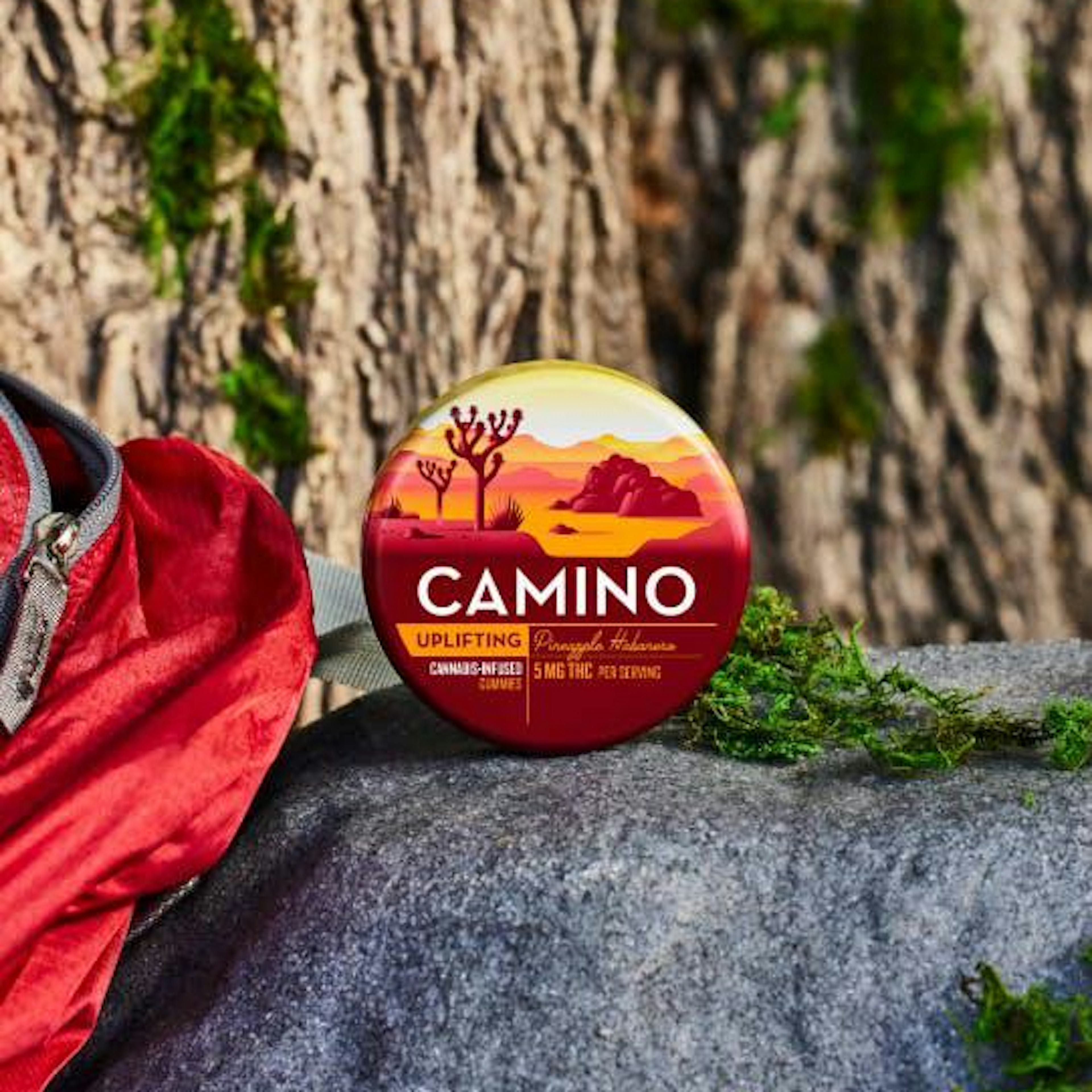 Image of PINEAPPLE HABANERO