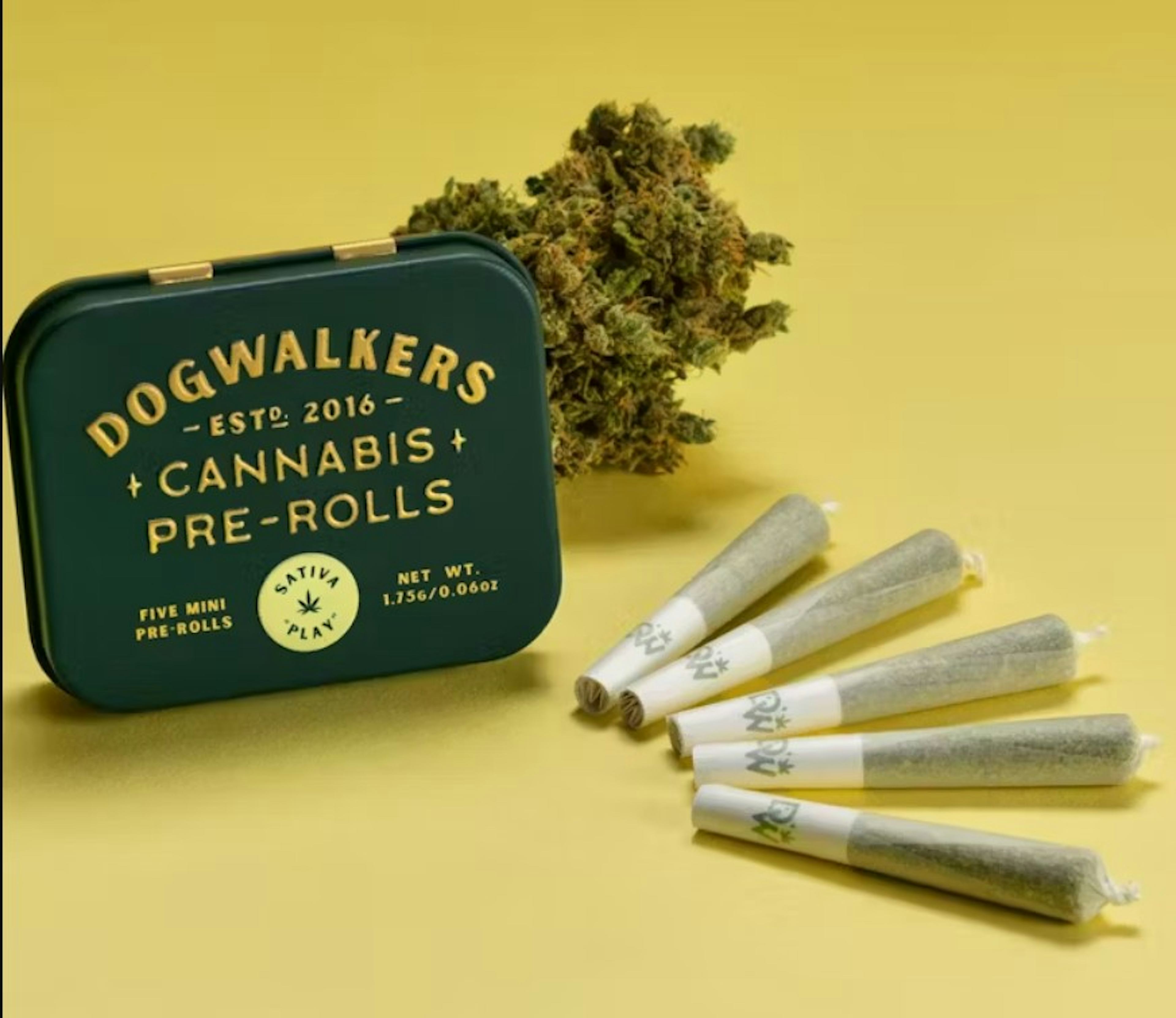 Image of NIGHT OWL HAZE | 5-PACK | 1.75G