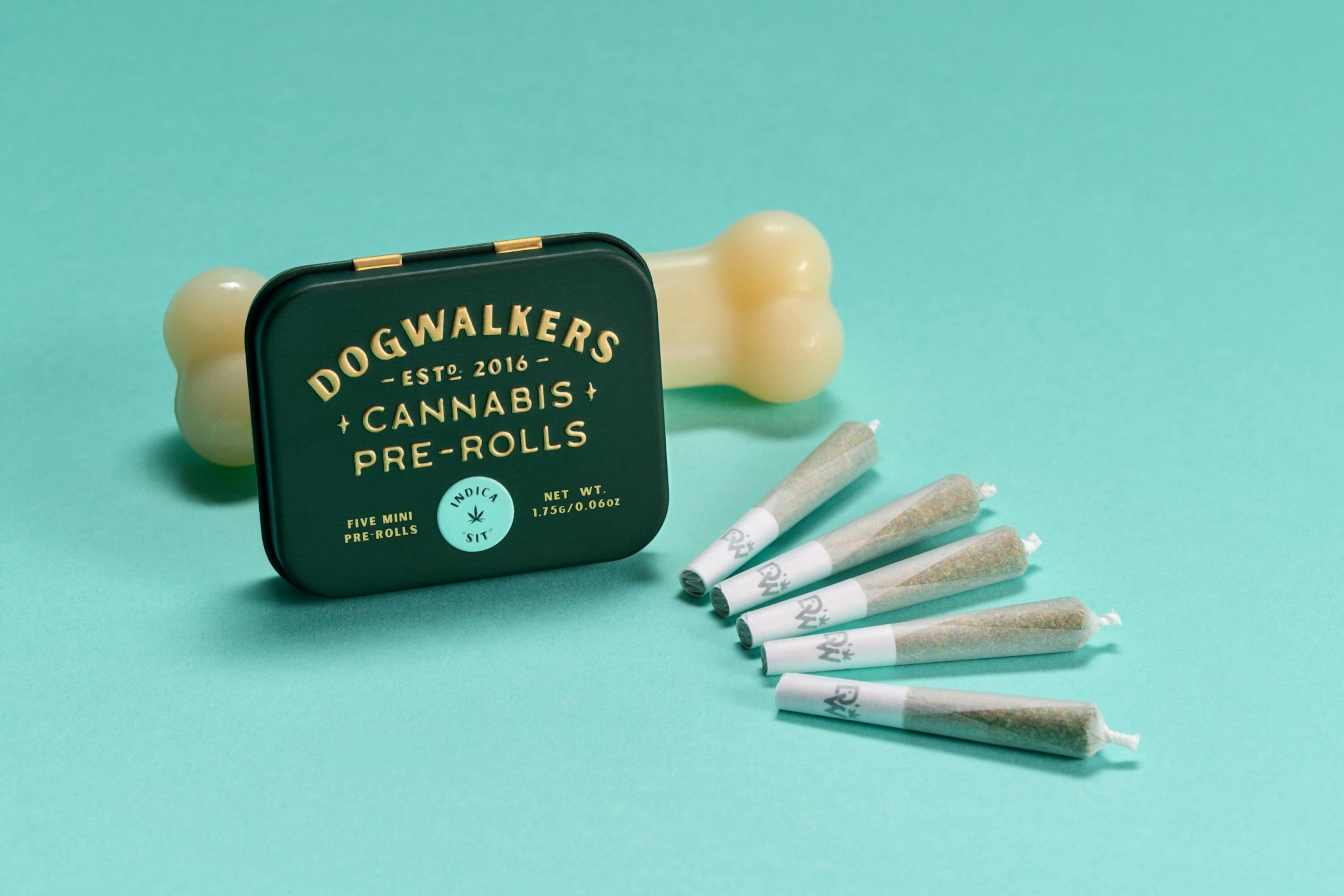 Image of CHEDDAR CHEEZE | 5-PACK | 1.75G