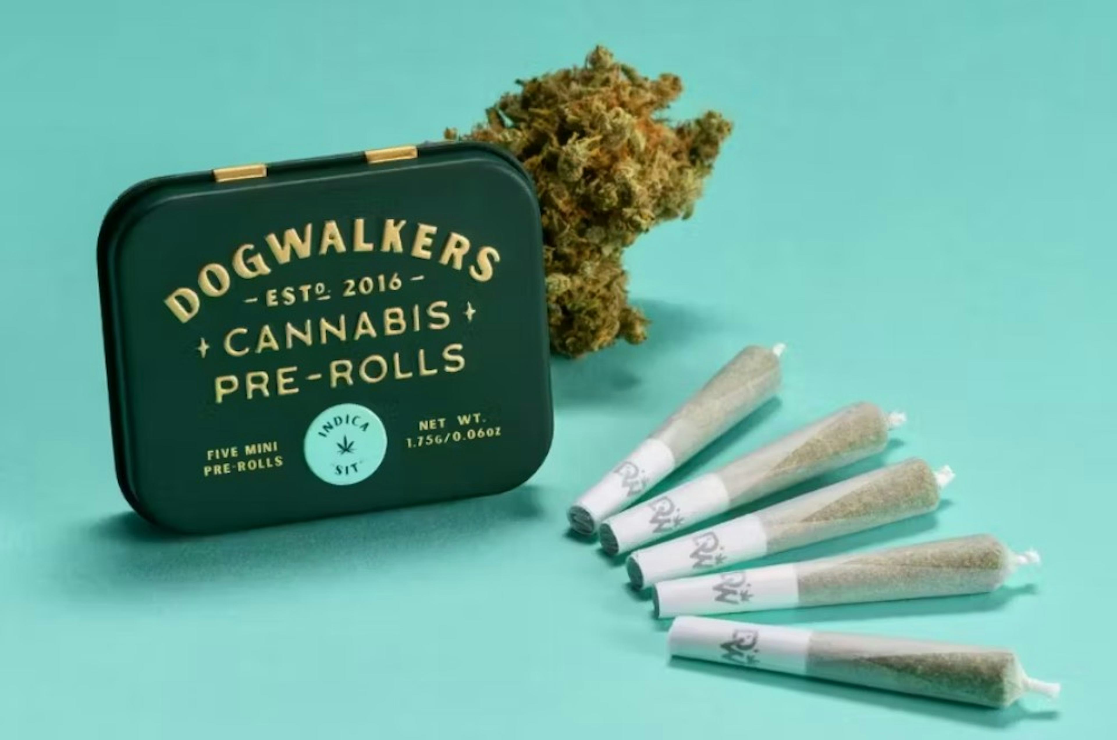 Image of GREAT DIVIDE | 1.75G | 5PK