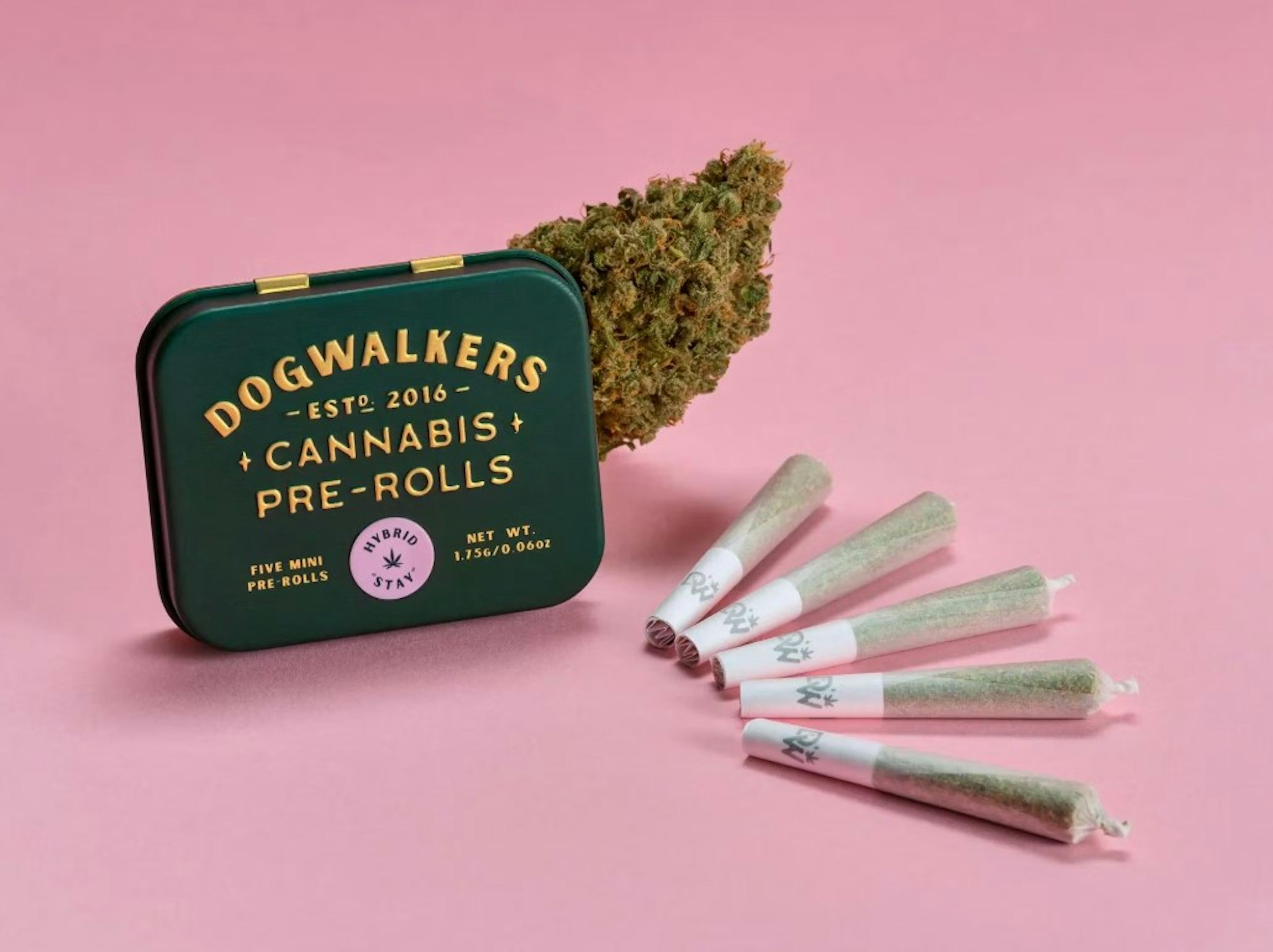 Image of STAR STRUCK | 5-PACK | 1.75G