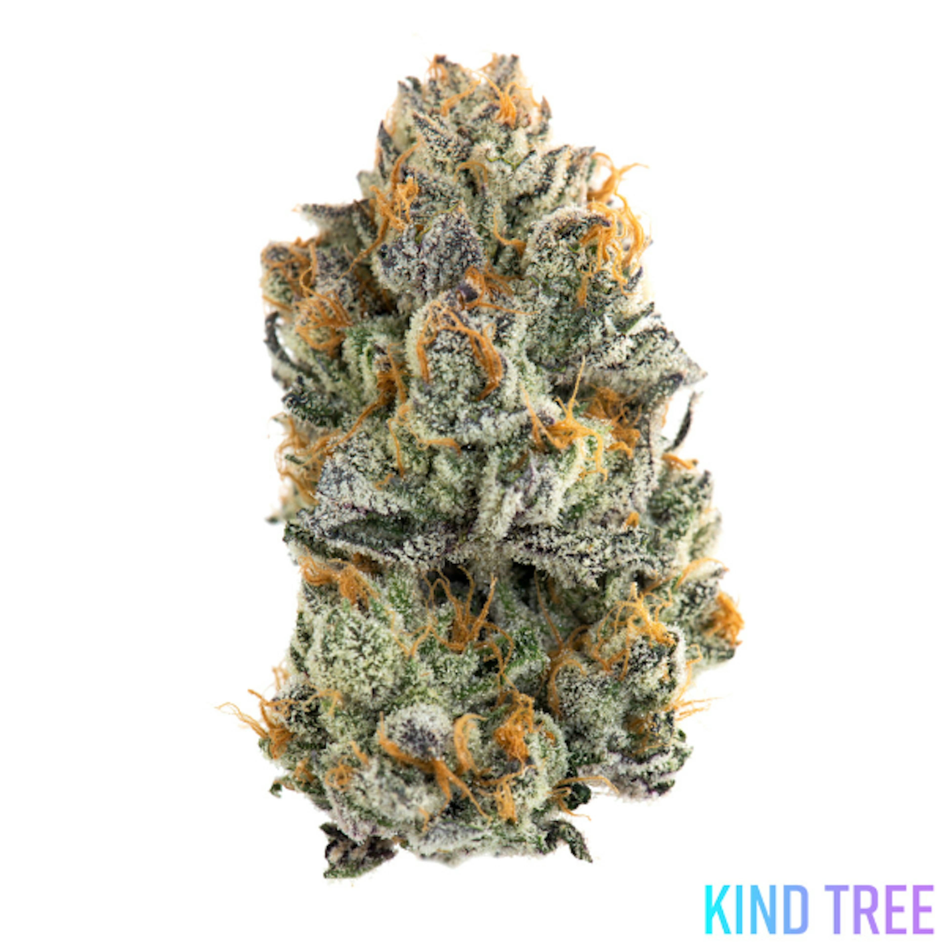 Image of FILTHY ANIMALS | 3.5G