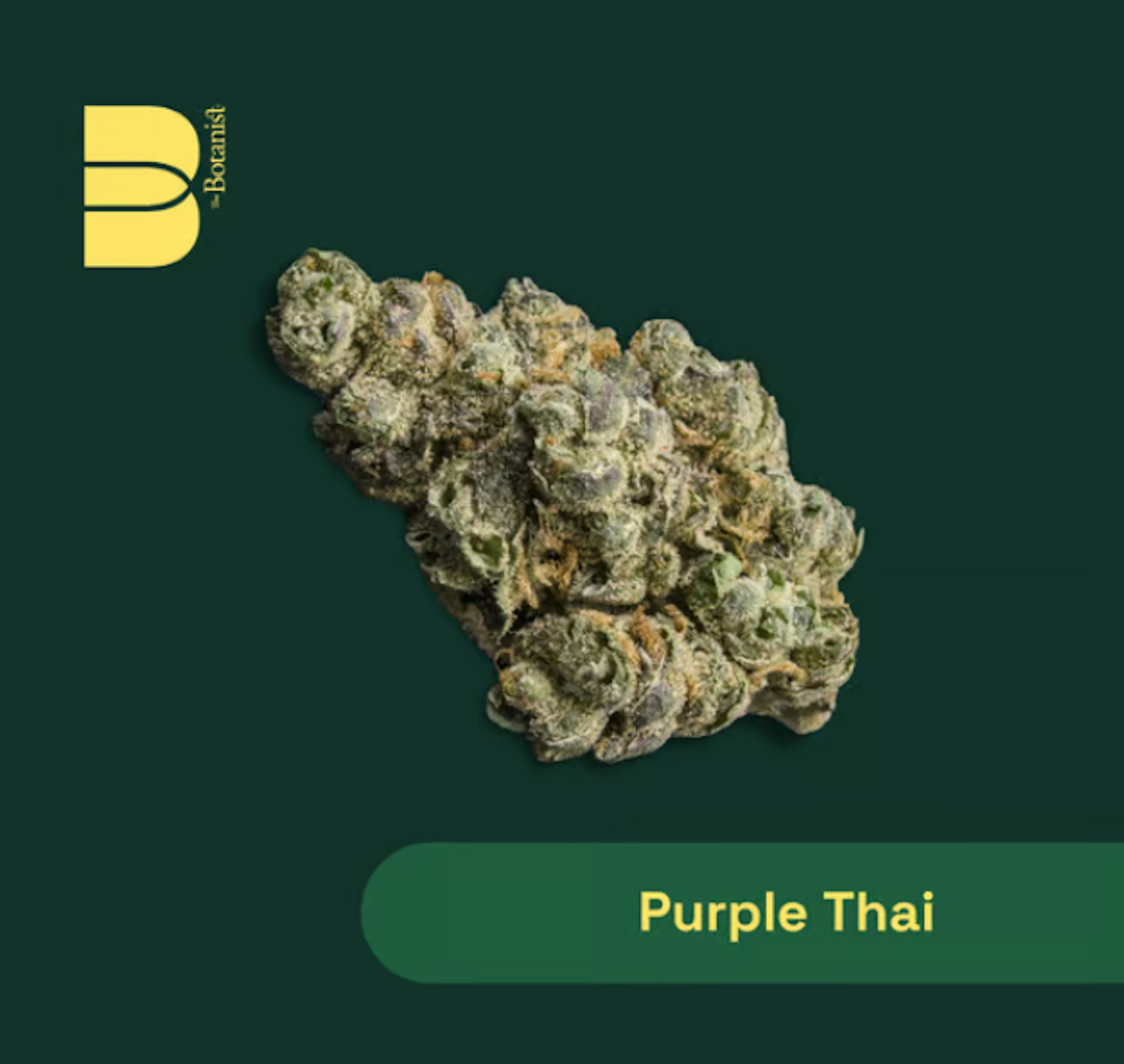Image of PURPLE THAI | 3.5G | SMALLS