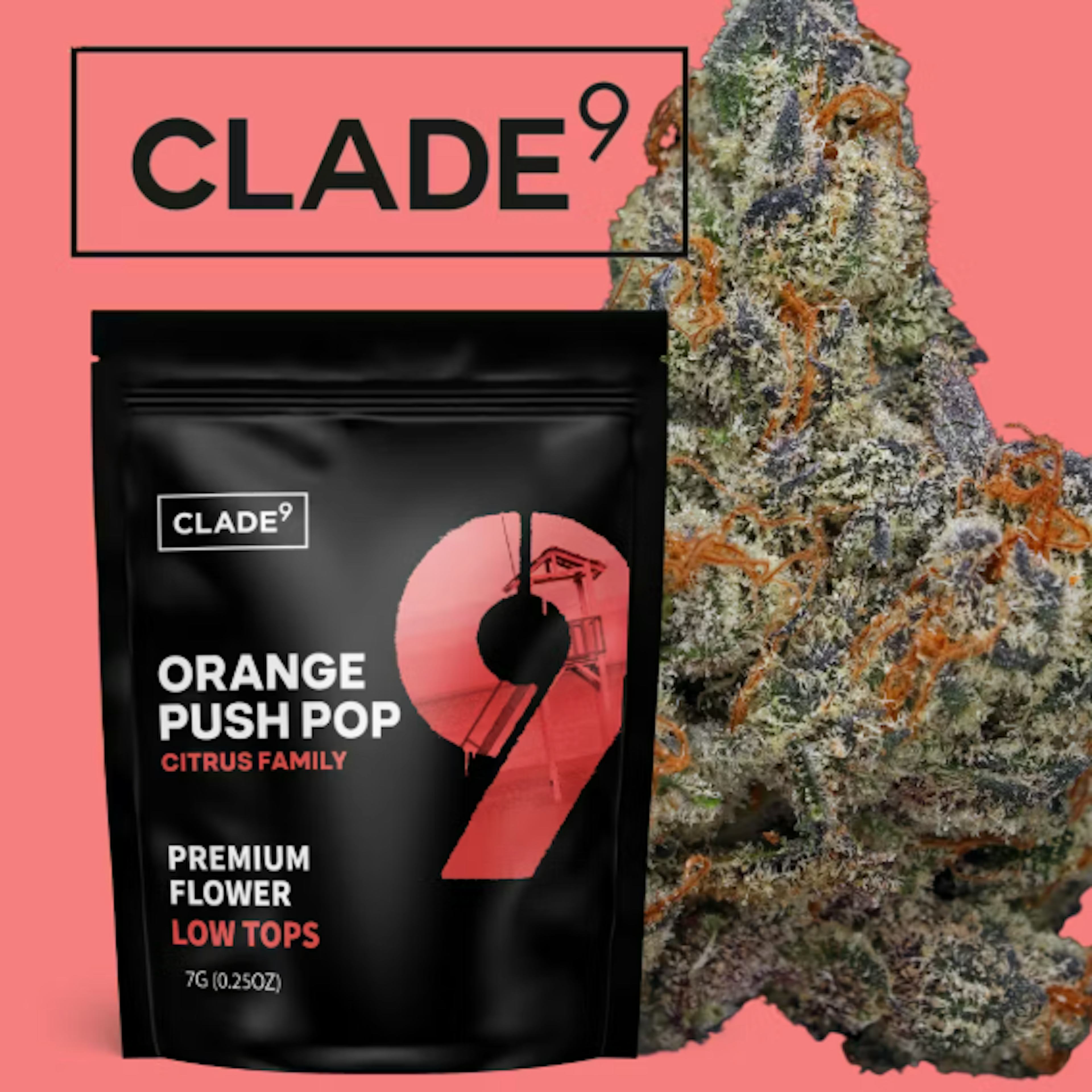 Image of ORANGE PUSH POP | 7G