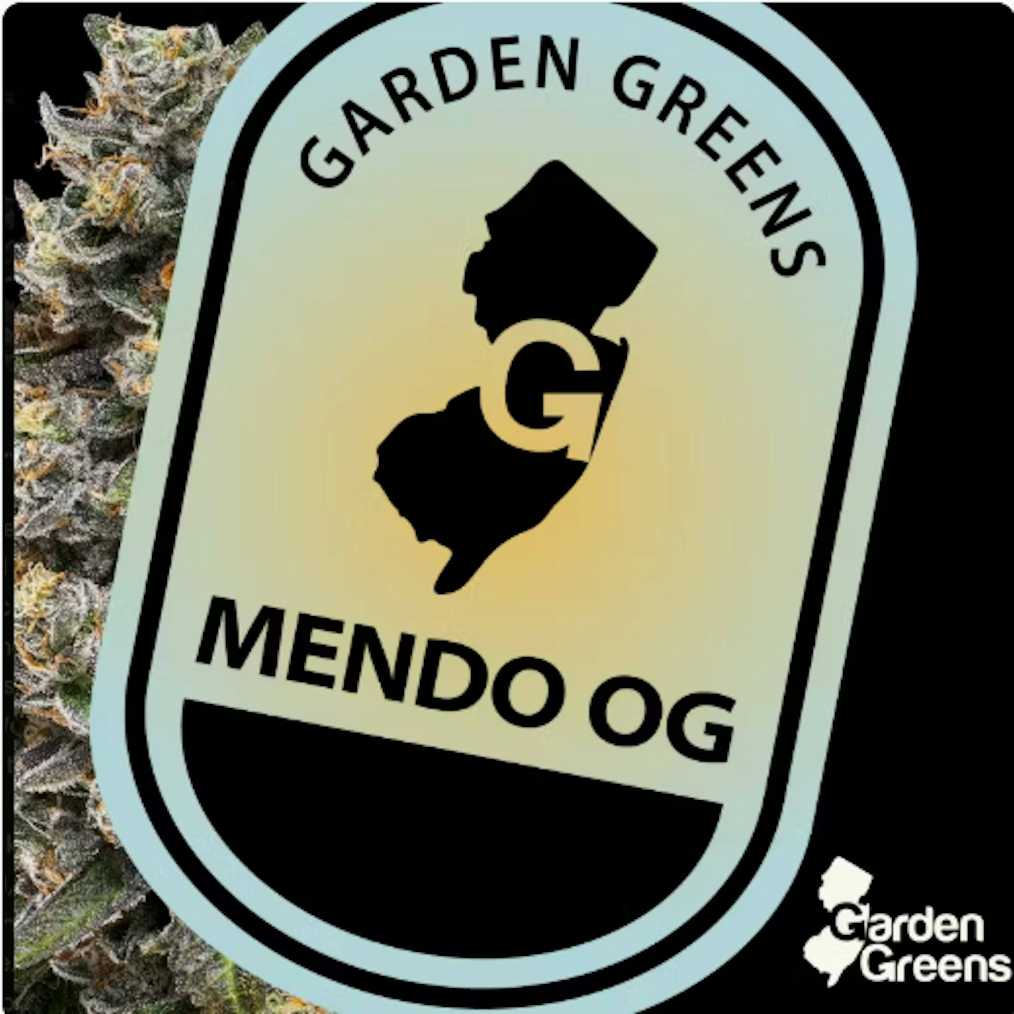 Image of MENDO OG | 3.5G