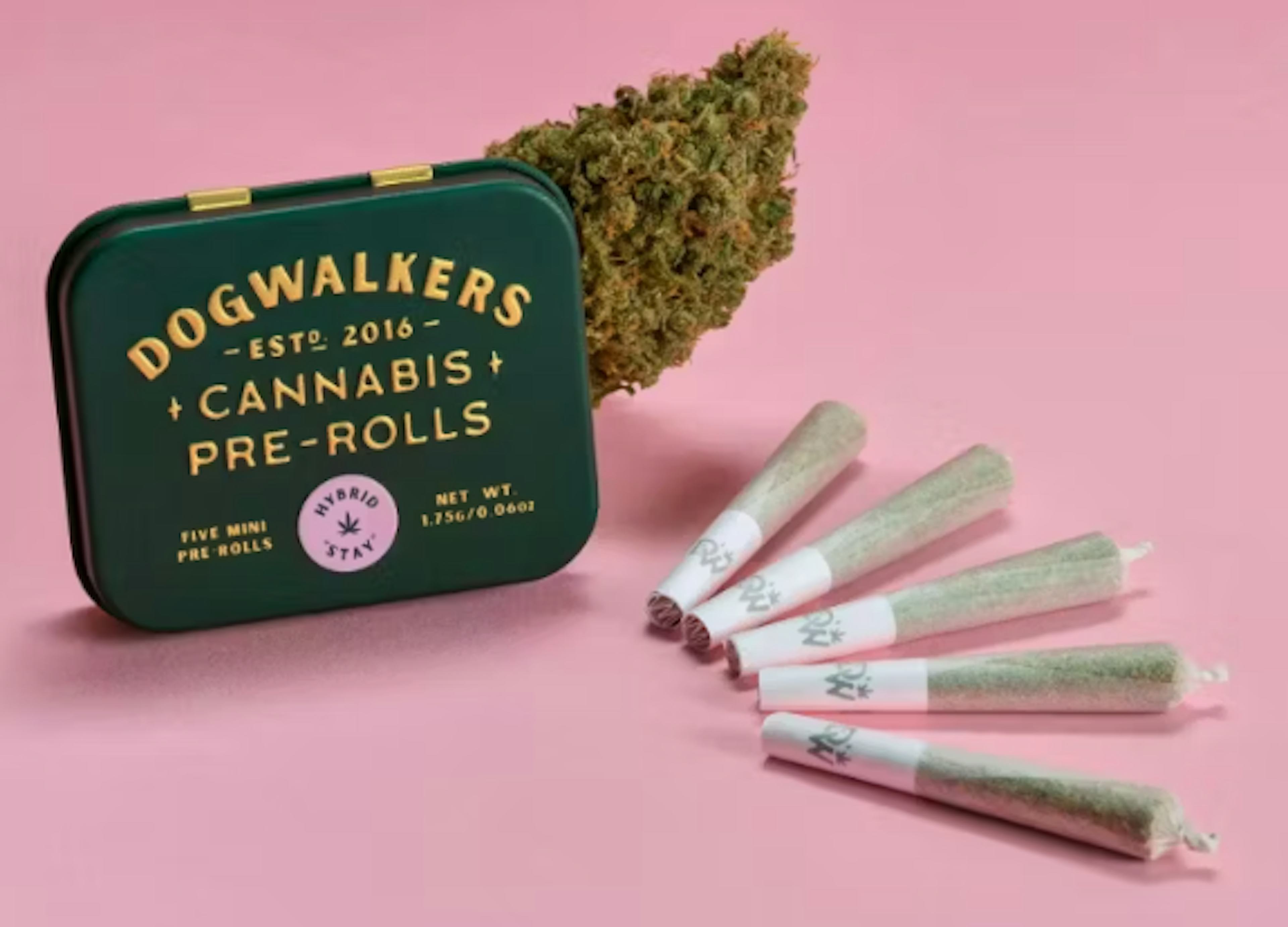 Image of FABS | 1.75G | 5PK