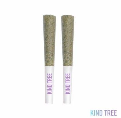 TACOCAT | 2-PACK | 1G