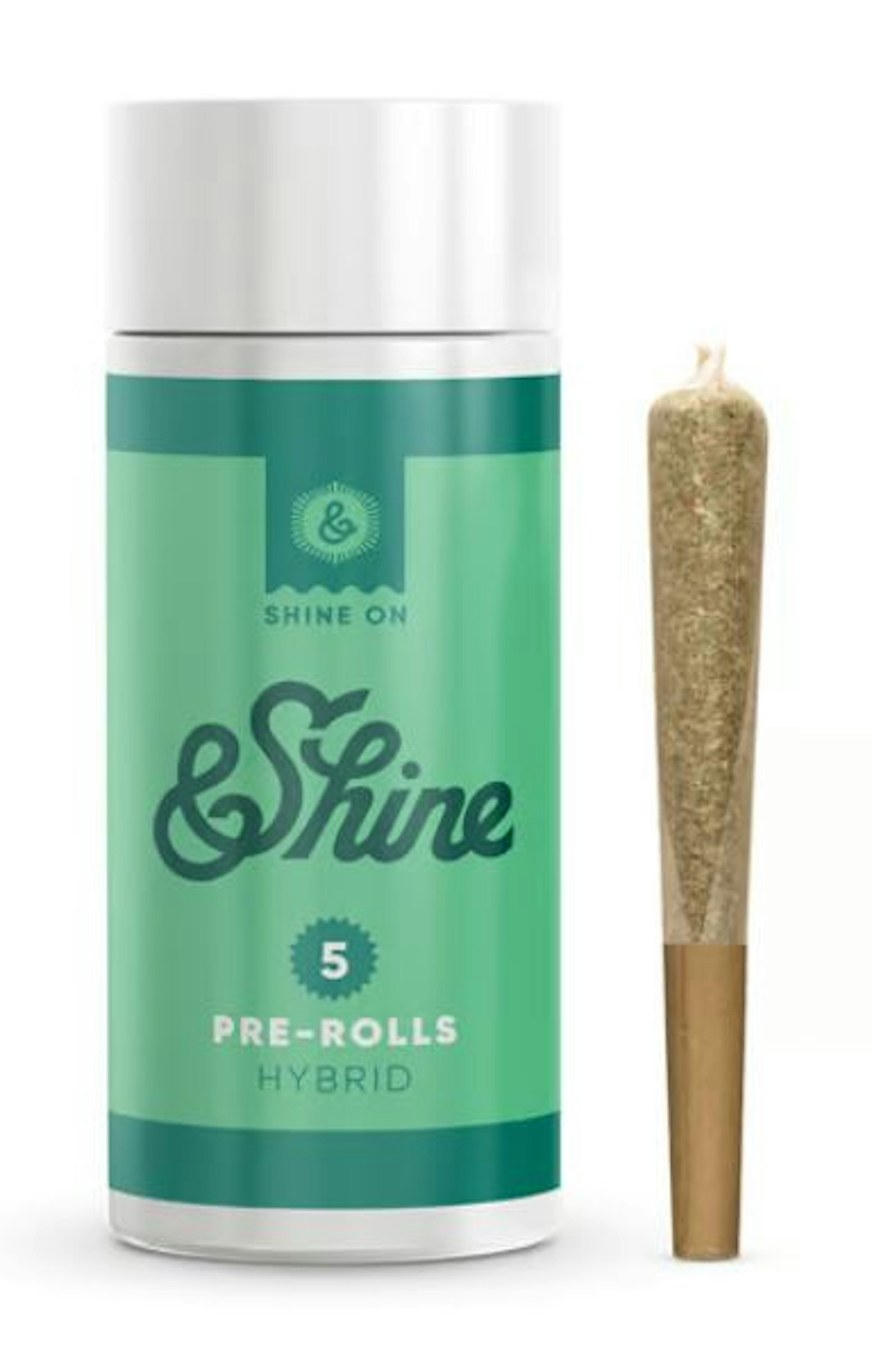 Image of VELCROZ | 2.5G | 5PK