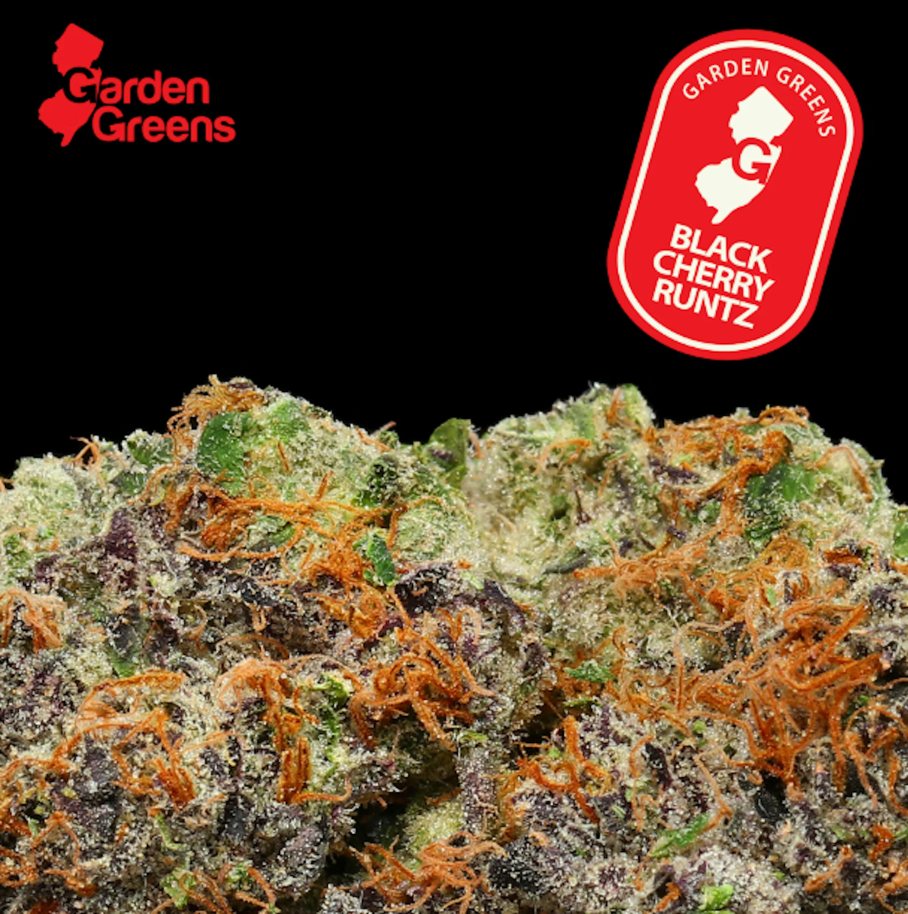 Image of BLACK CHERRY RUNTZ | 7G | BIG BUD