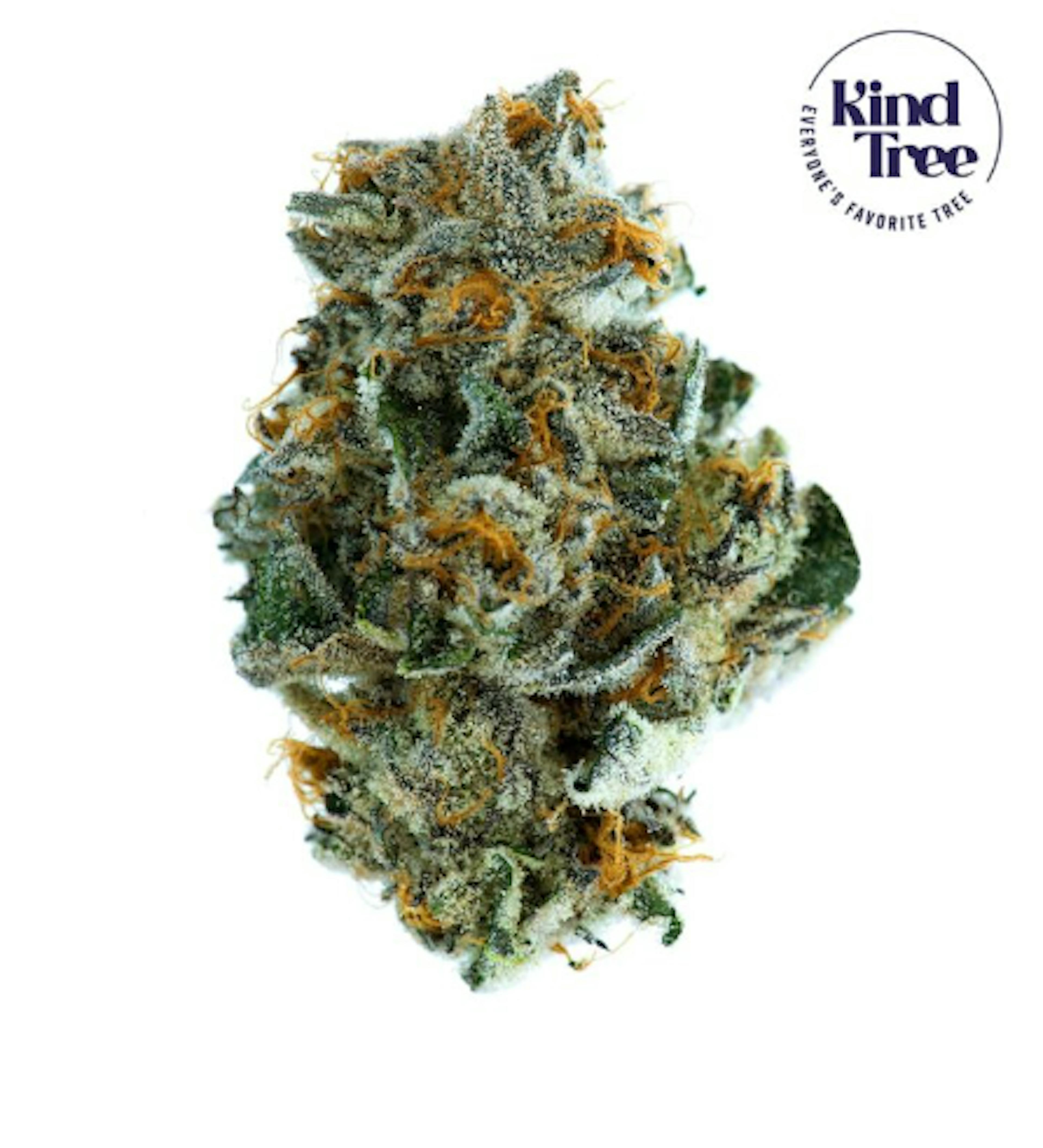 Image of LOUD CAKE | 7G