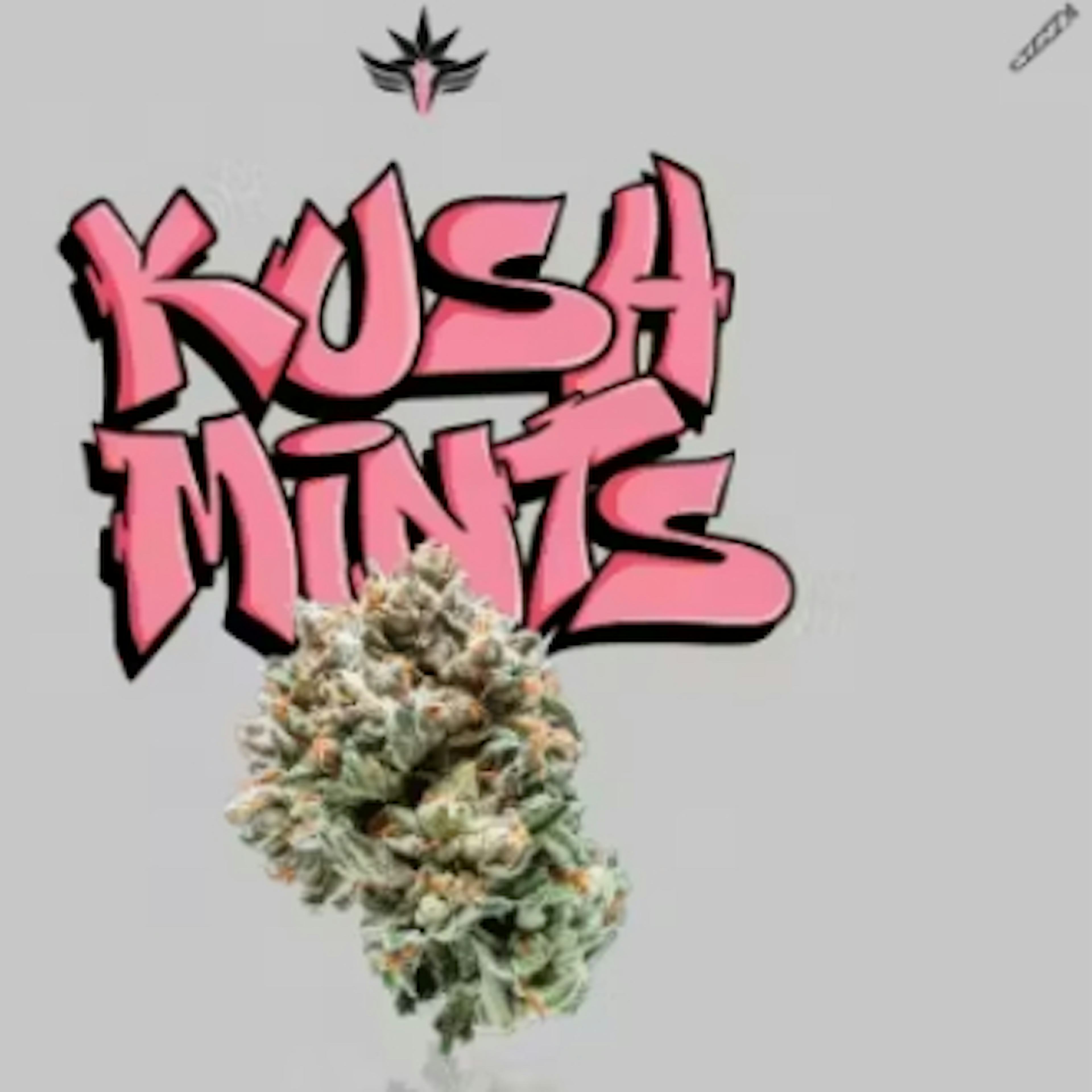 Image of KUSH MINTS | 1G | SINGLE