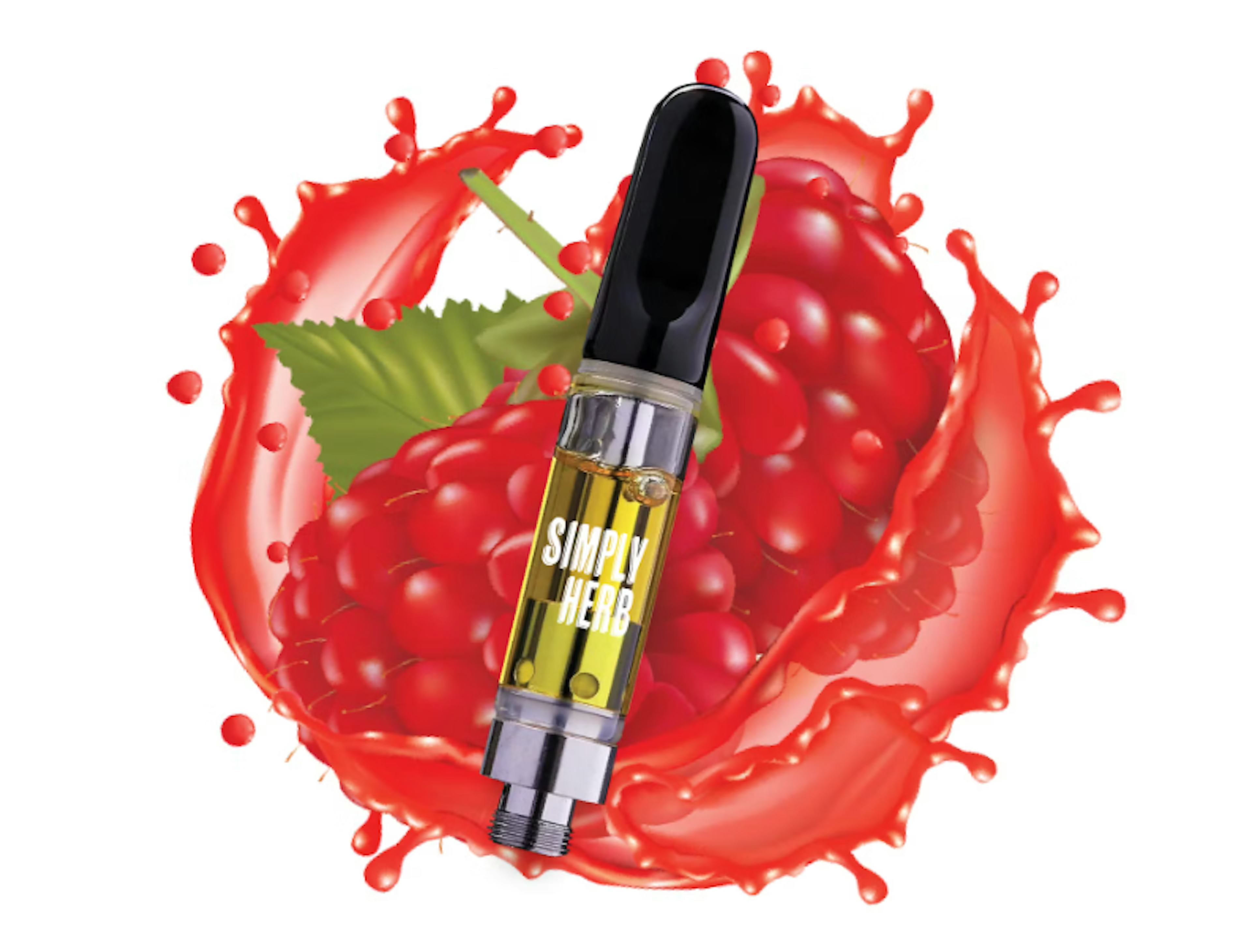 Image of RADICAL RASPBERRY | 1G