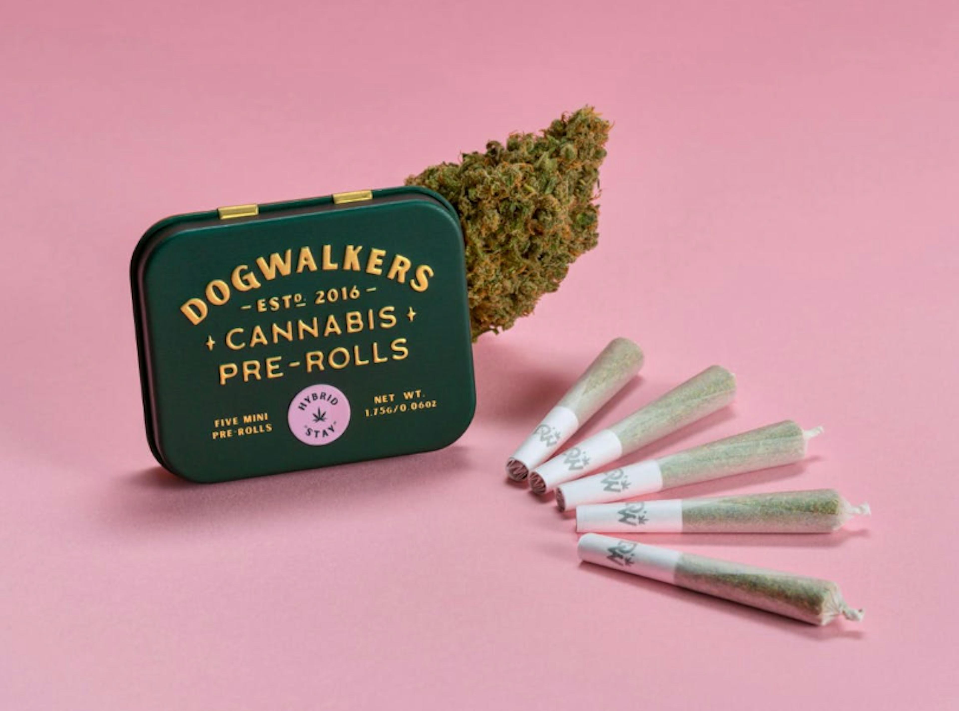 Image of ZESTY PARM | 5PK | 1.75G