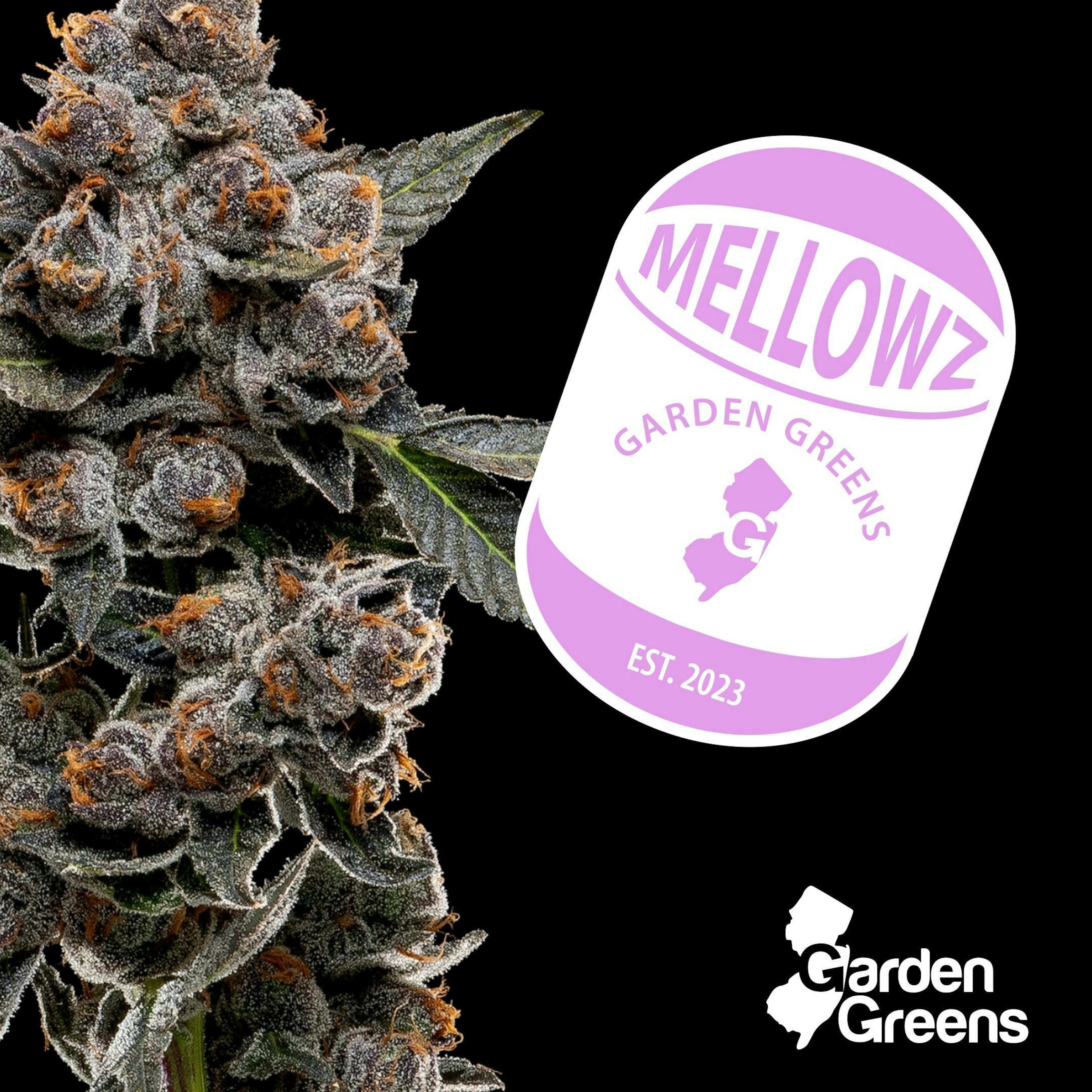 Image of MELLOW Z | 3.5G