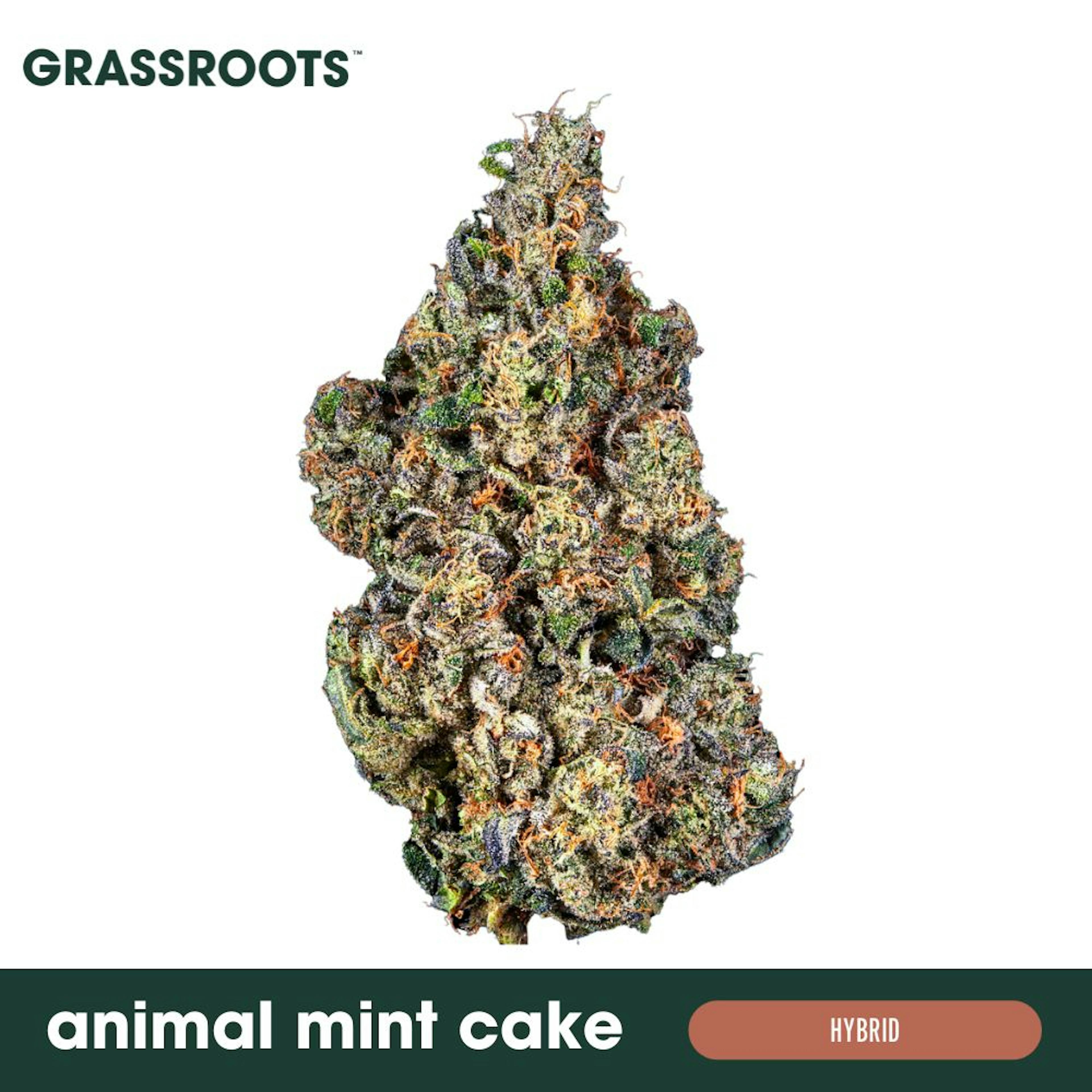 Image of ANIMAL MINT CAKE | WHOLE FLOWER | 3.5G