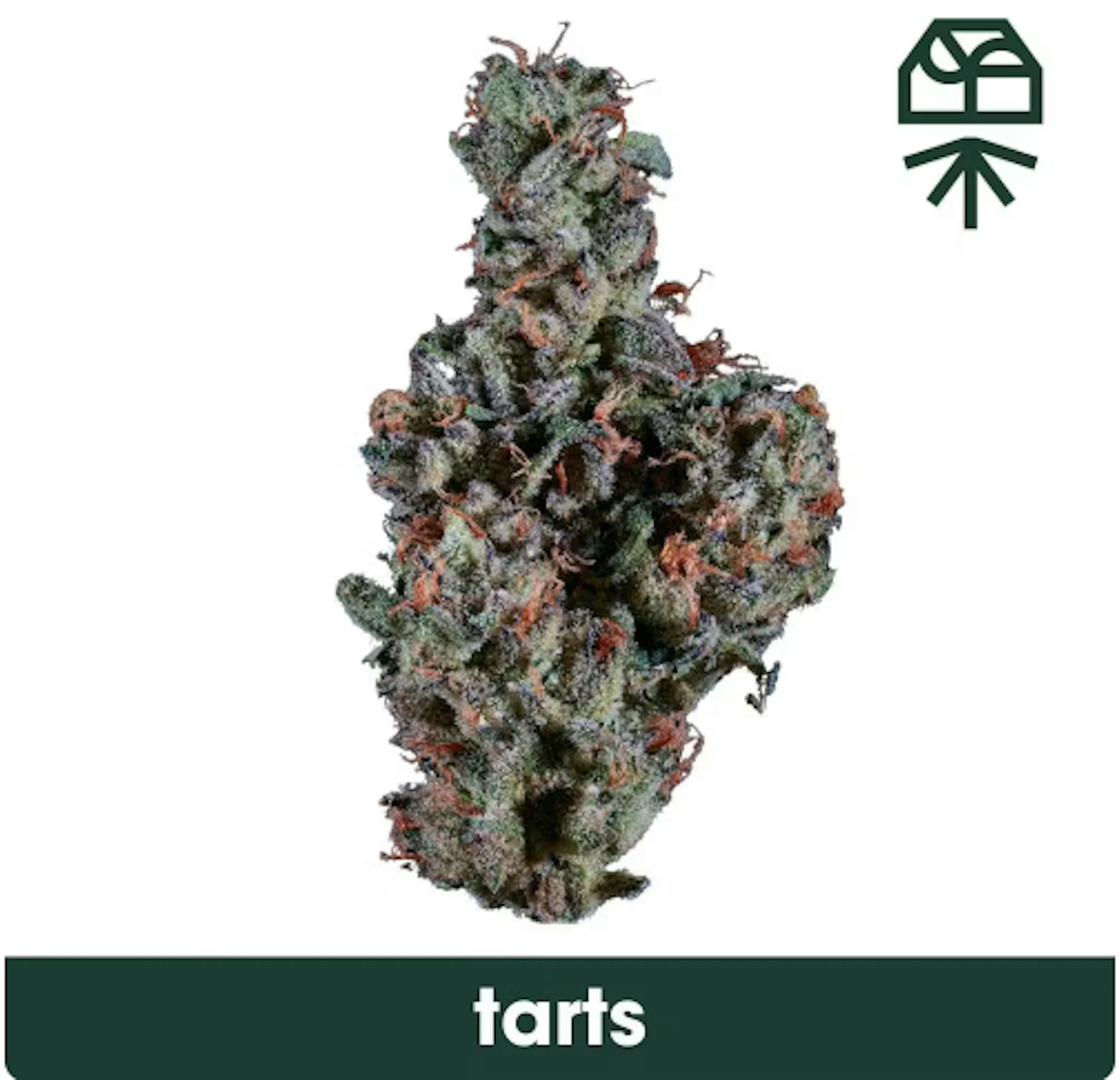 Image of TARTS | 3.5G