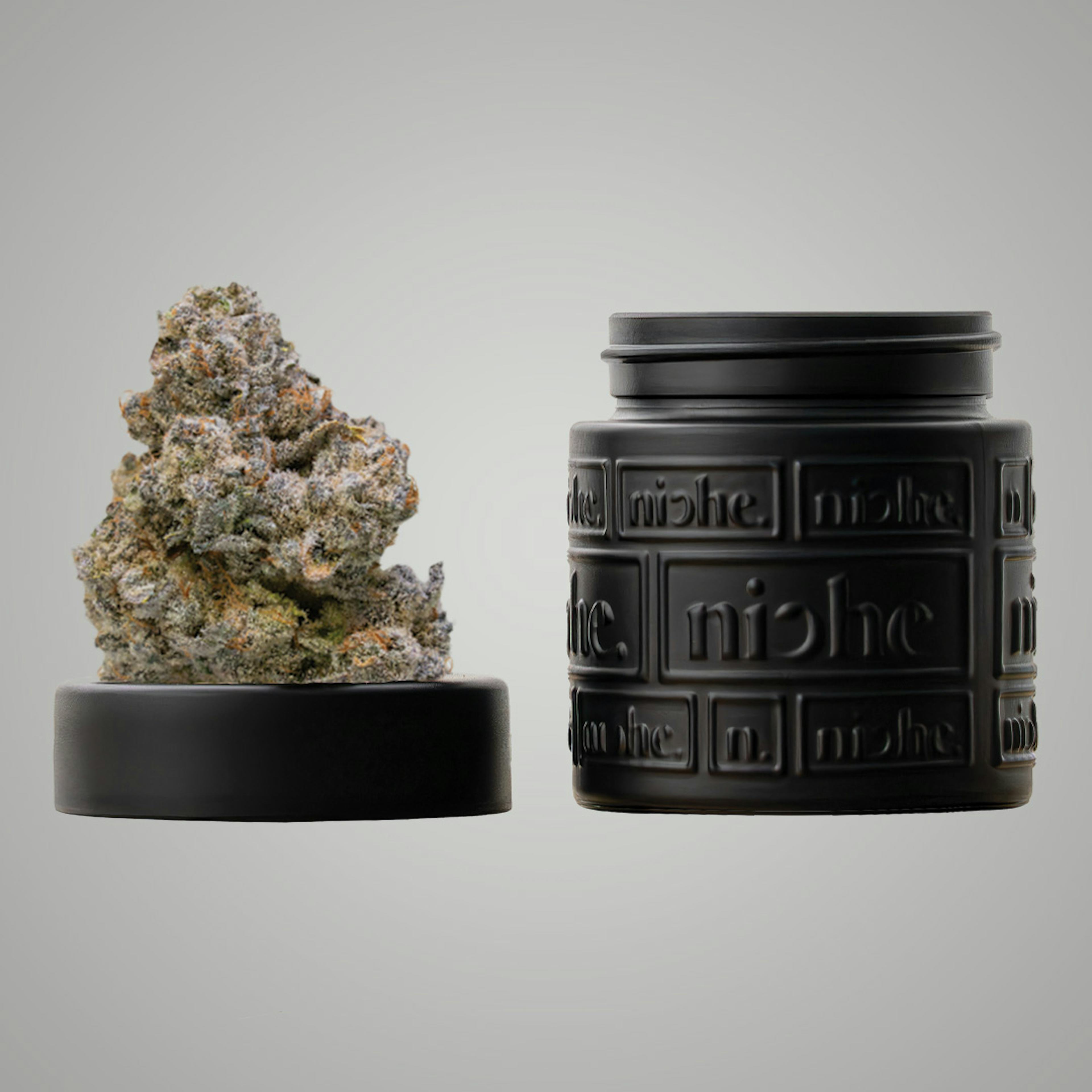 Image of ANIMAL TSUNAMI | 3.5G