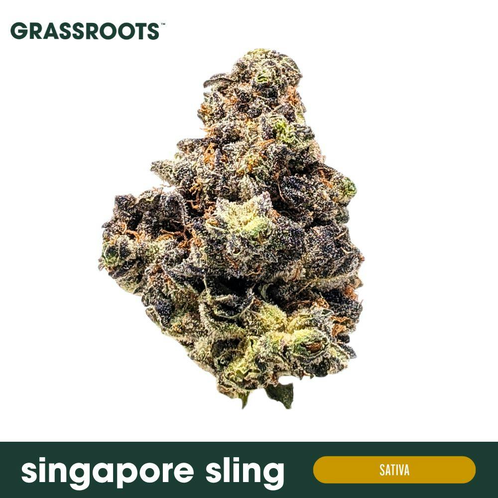SINGAPORE SLING | WHOLE FLOWER | 3.5G - 3.5g | Flower | GRASSROOTS