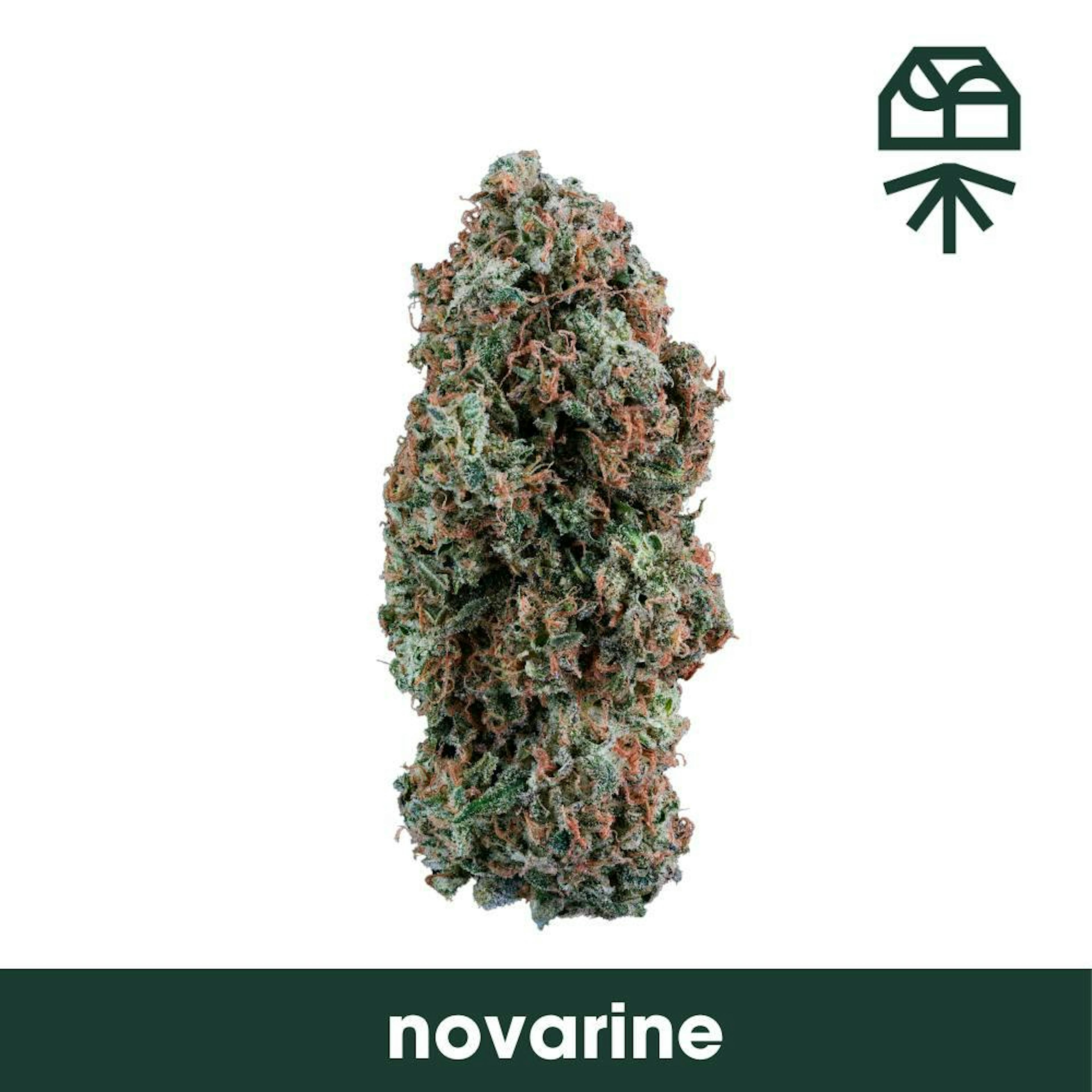 Image of NOVARINE | 3.5G