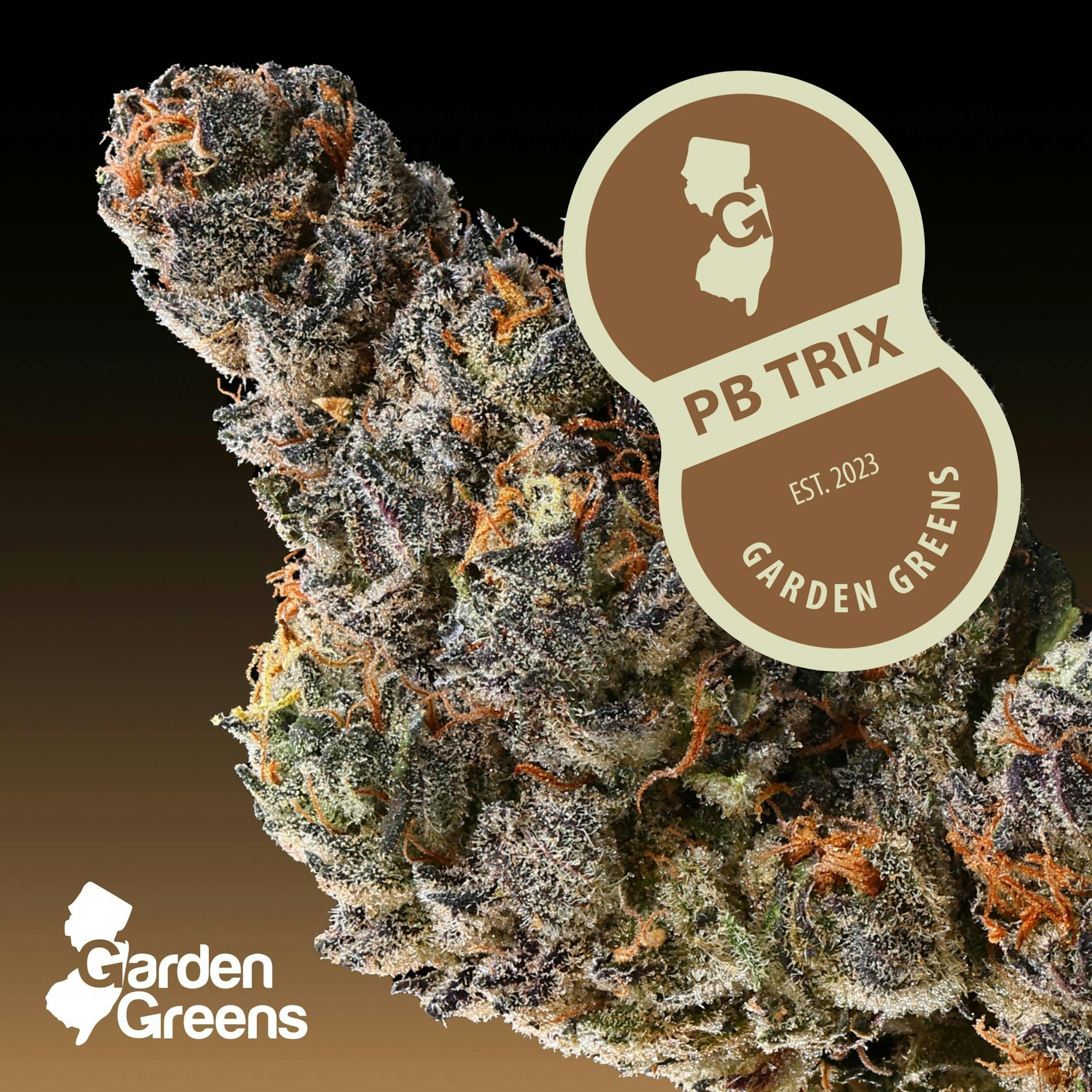 Image of PEANUT BUTTER TRIX | 3.5 G