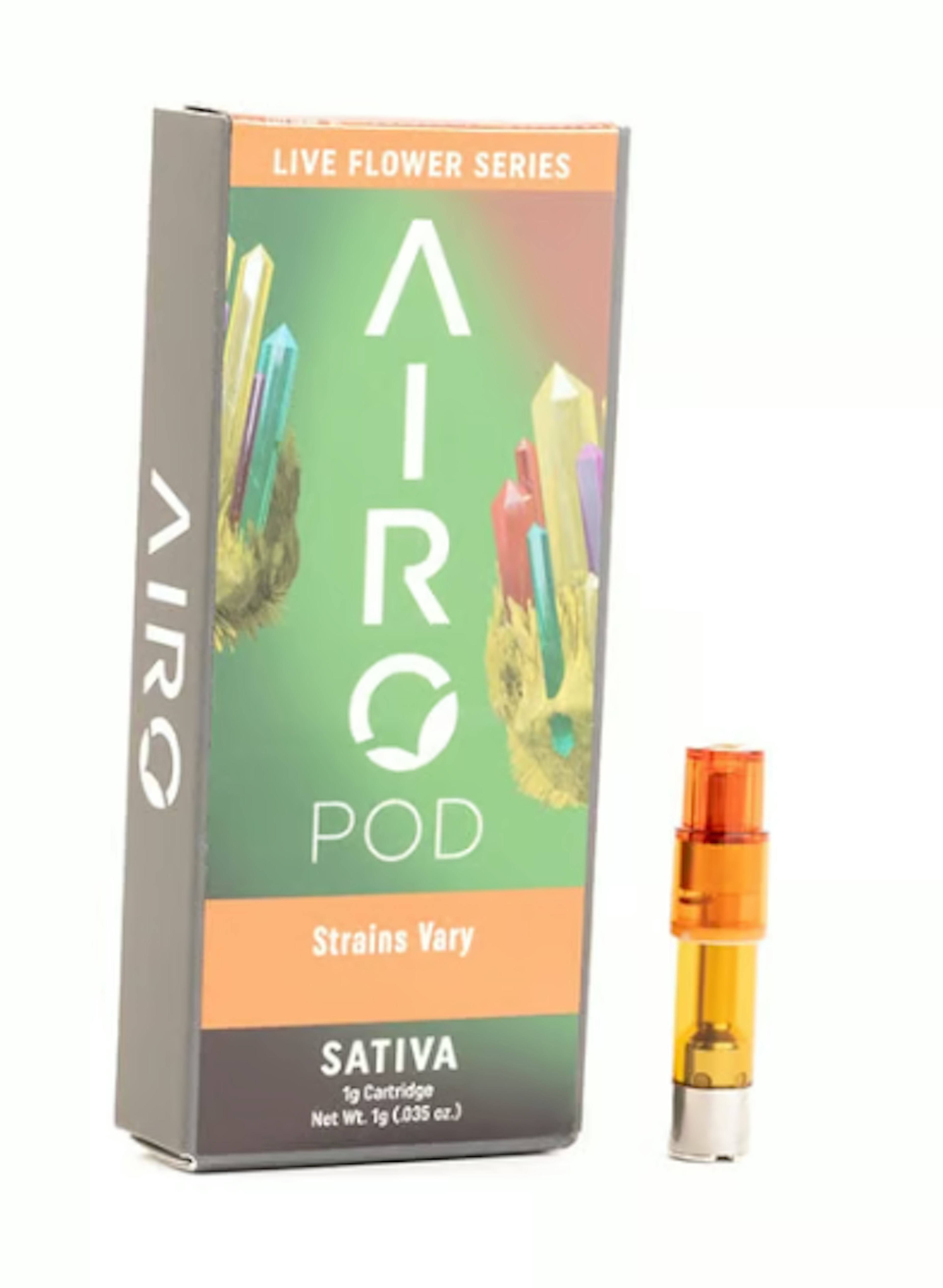 Image of HIBISCUS Widow | LIVE FLOWER | 1G