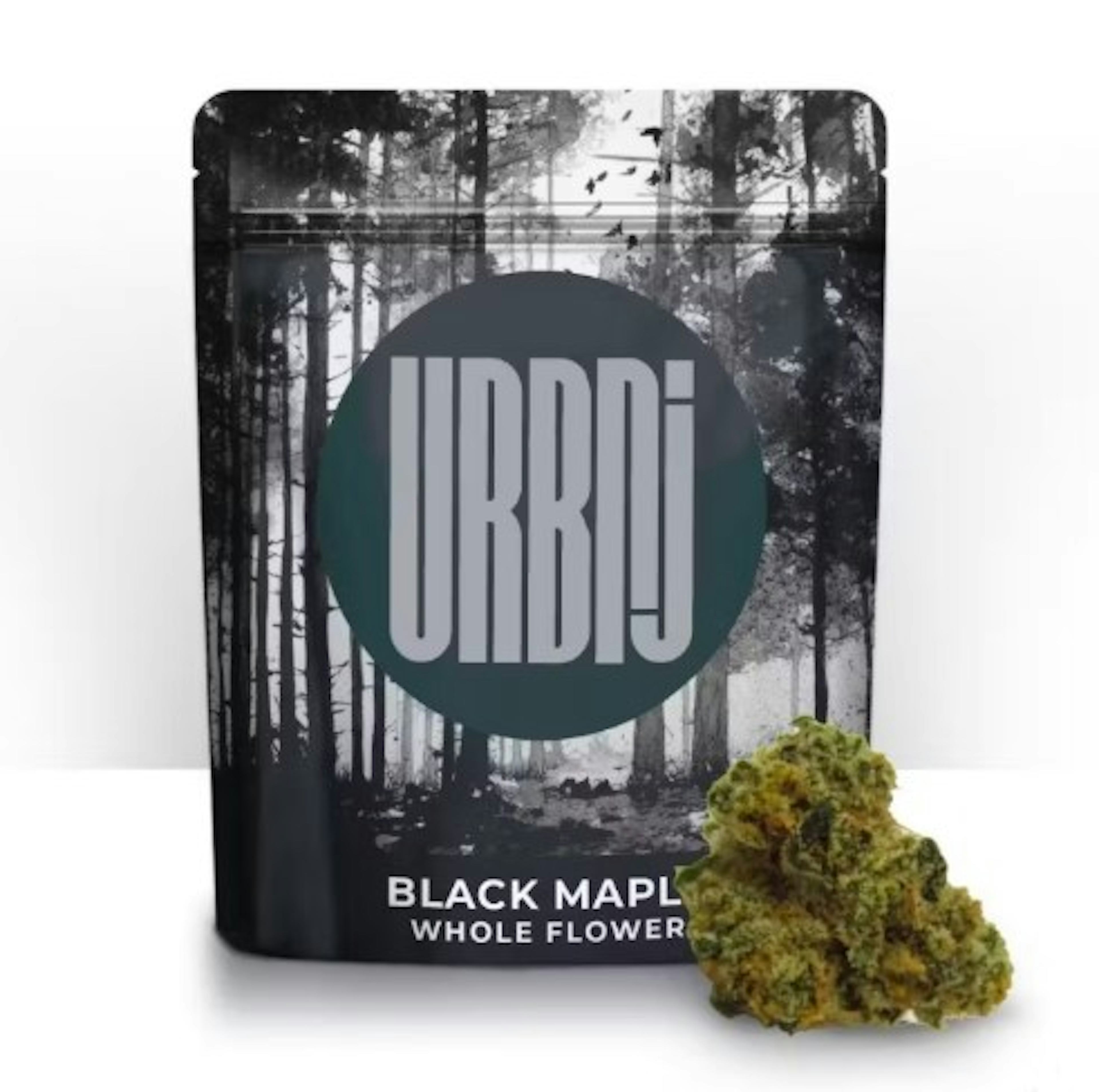 Image of BLACK MAPLE | 28G